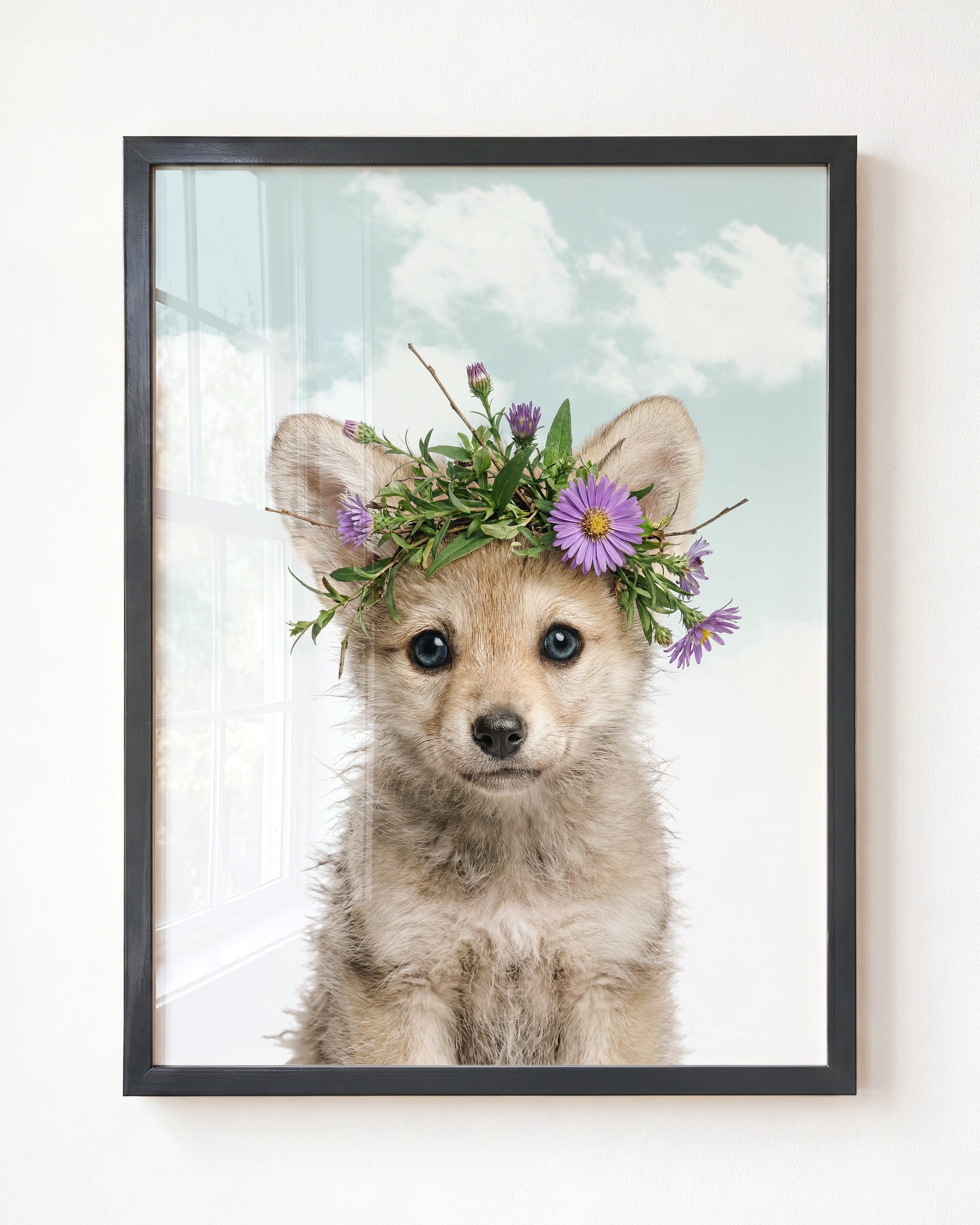 Baby Wolf