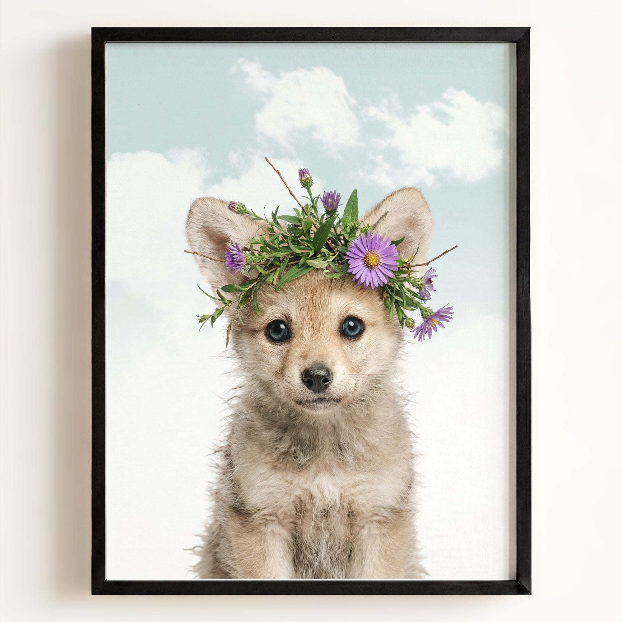 Baby Wolf