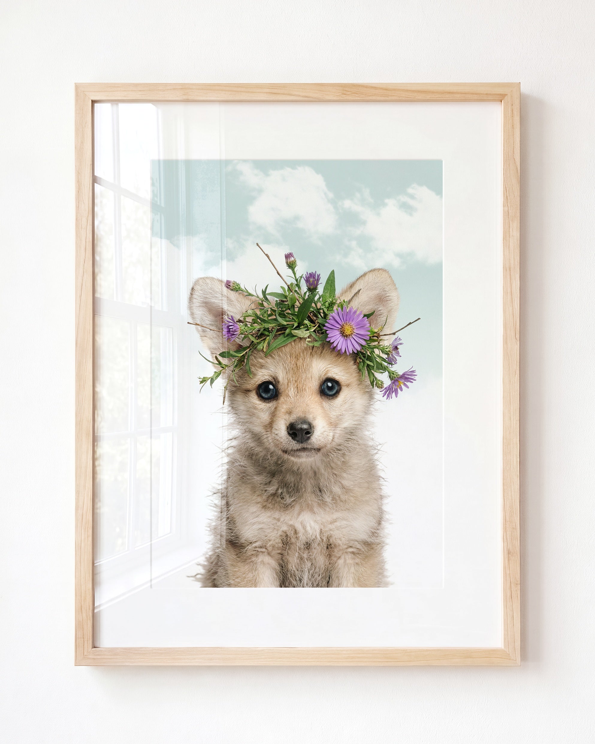 Baby Wolf