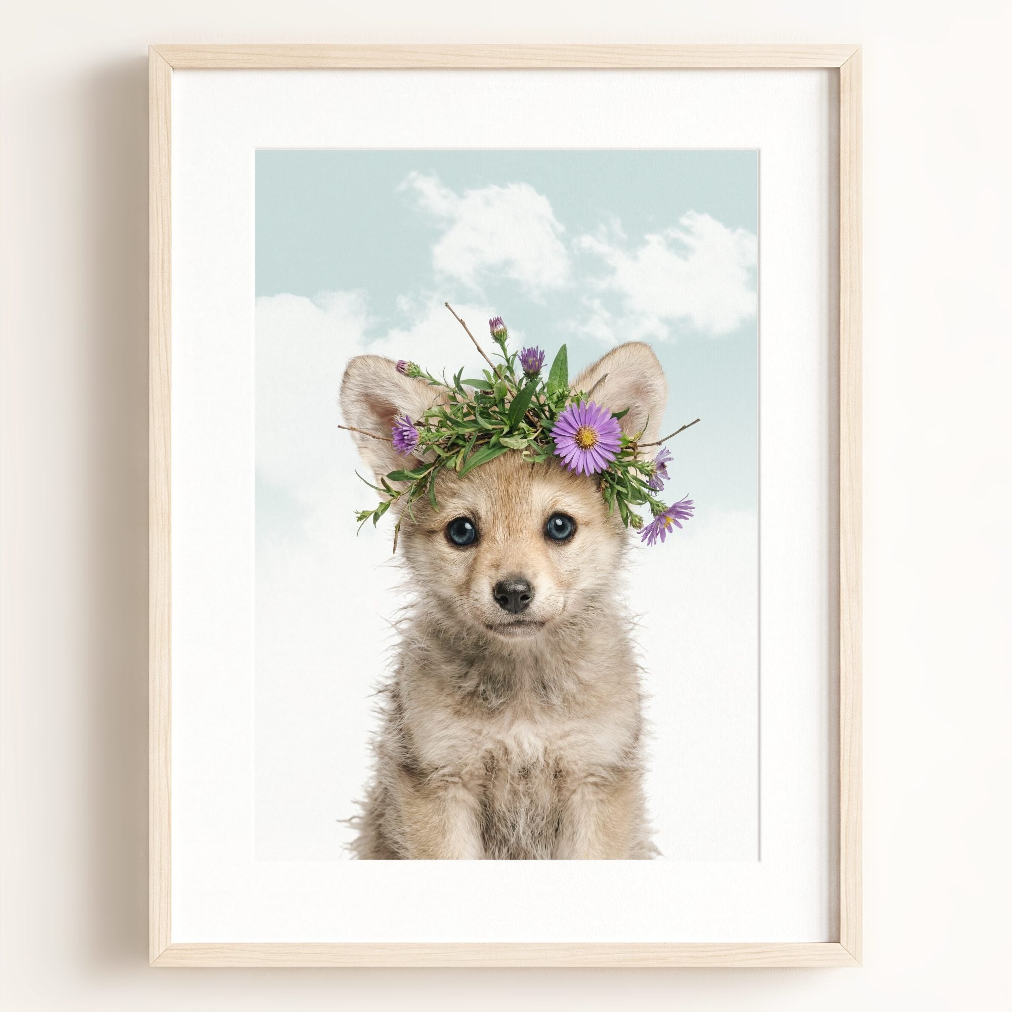 Baby Wolf