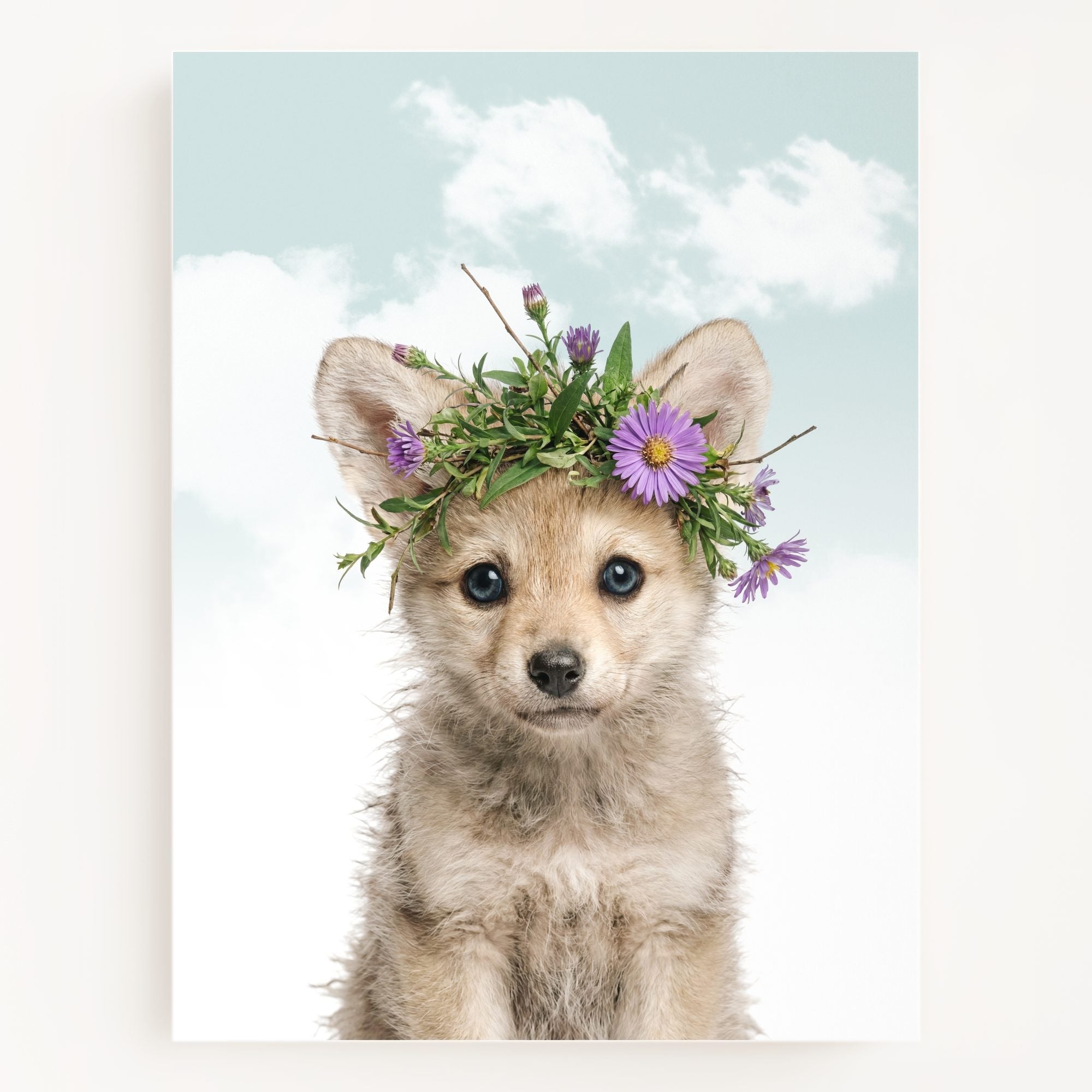 Baby Wolf
