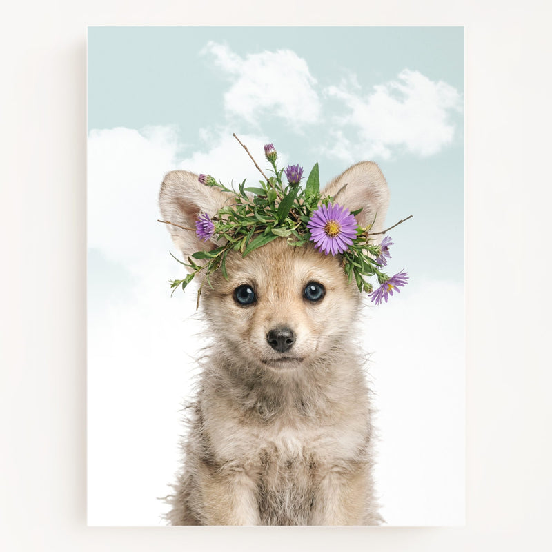 Flowers Sky