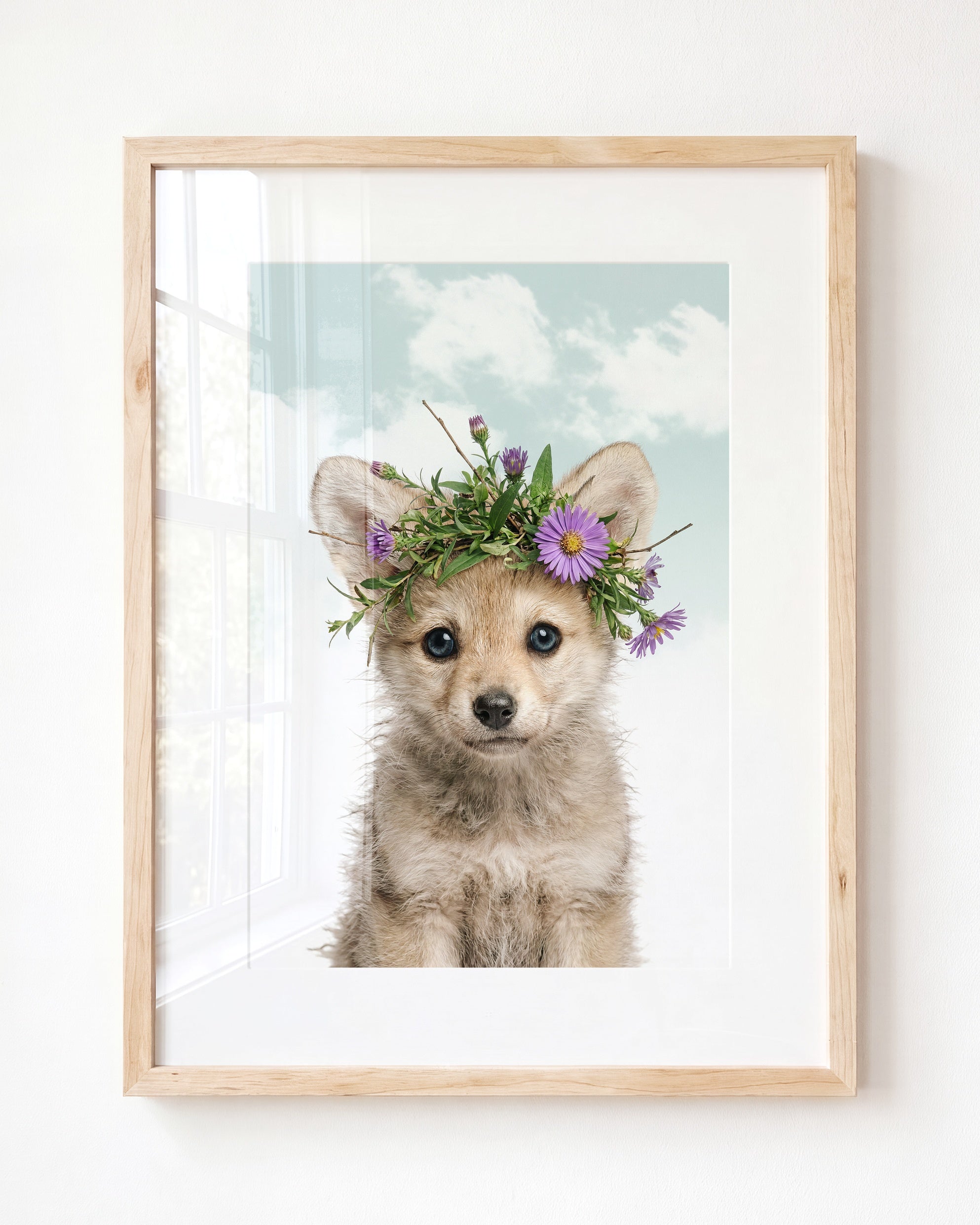 Baby Wolf