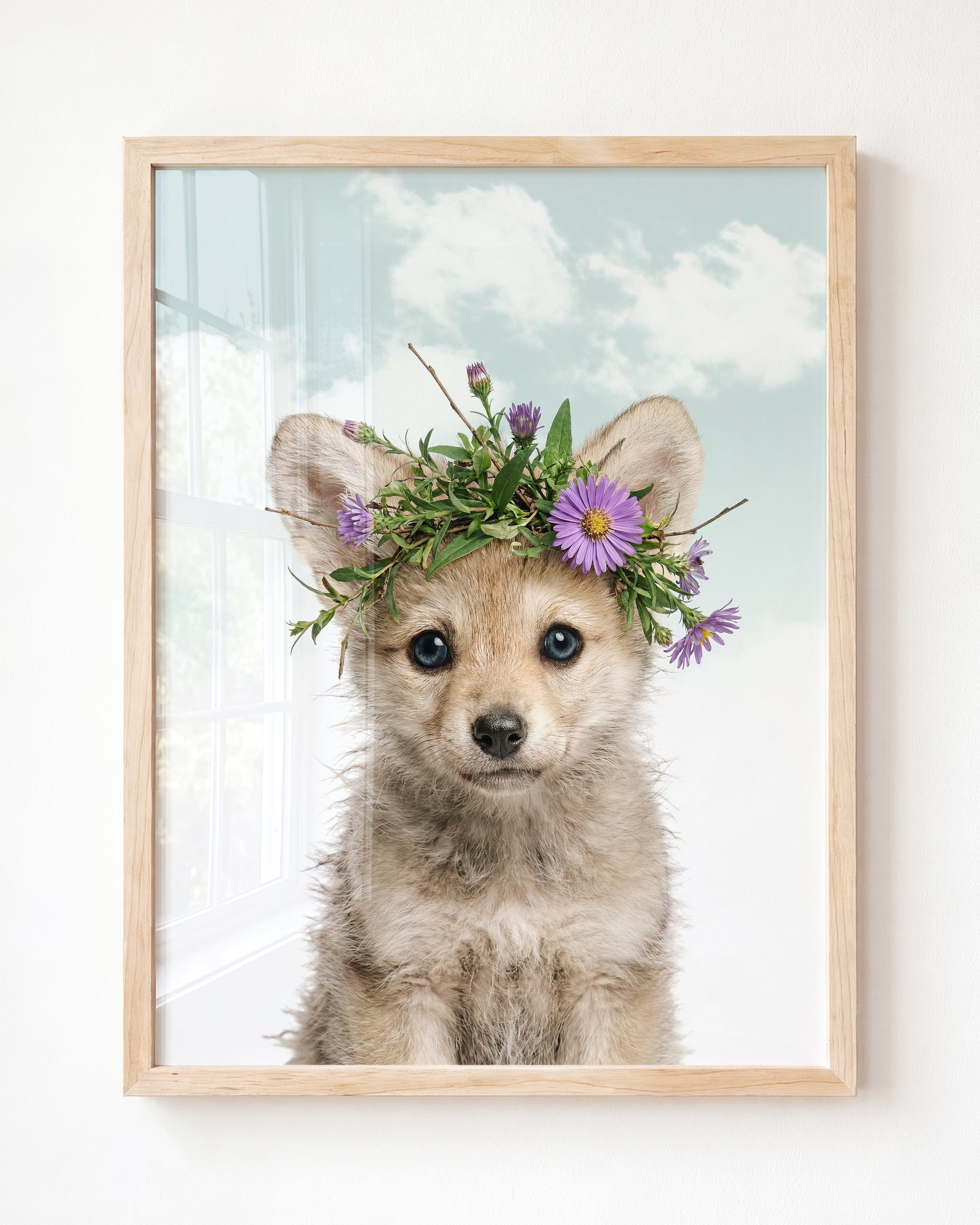 Baby Wolf