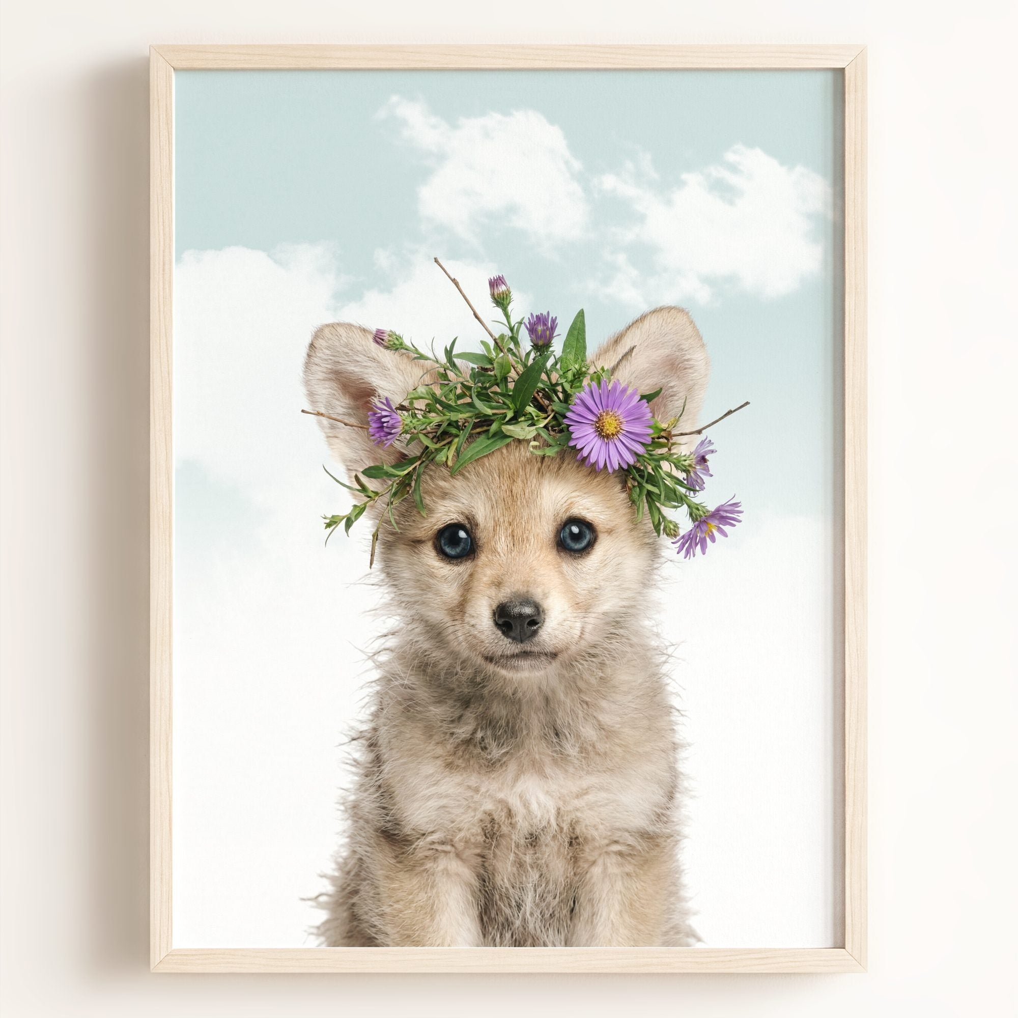 Baby Wolf