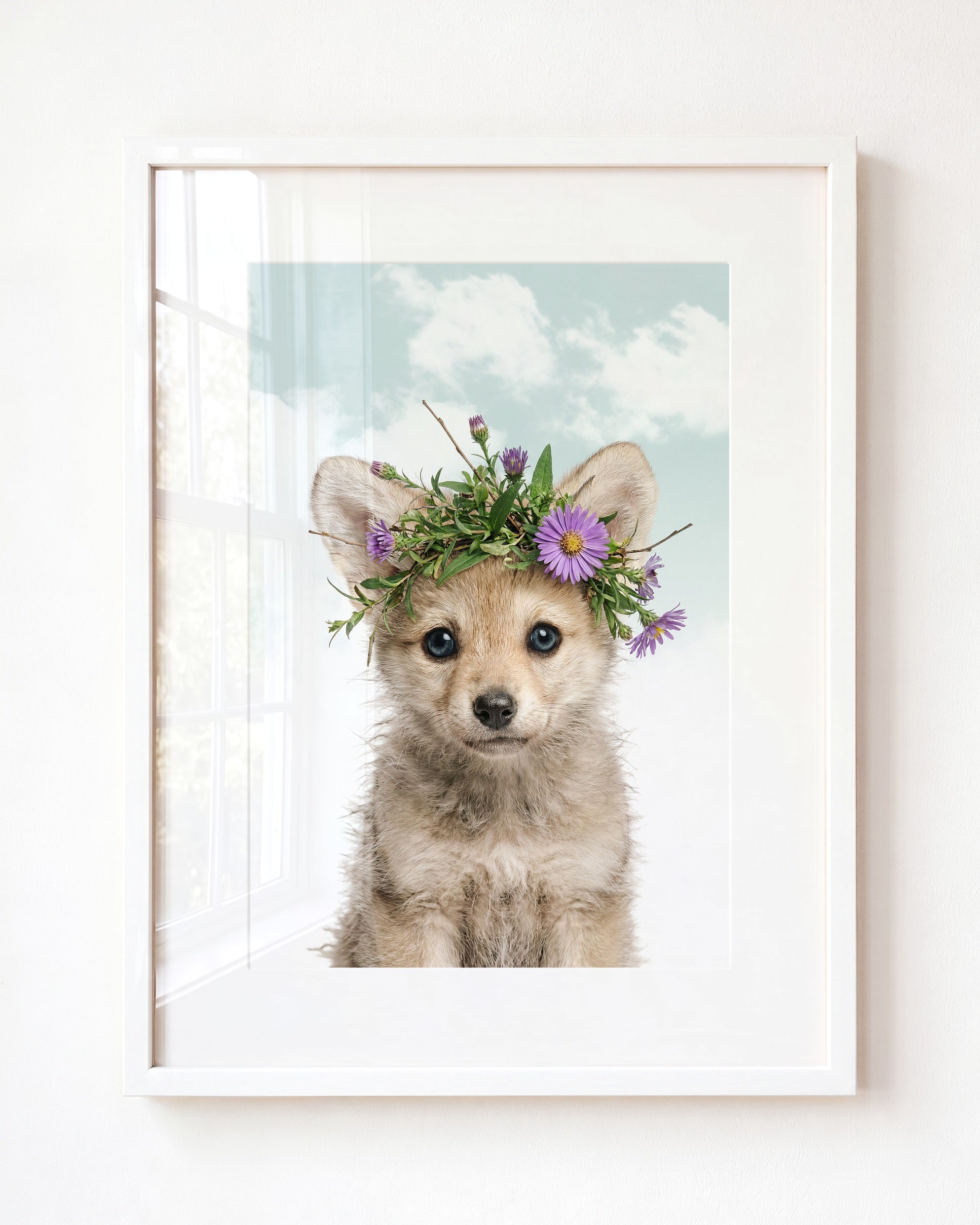 Baby Wolf