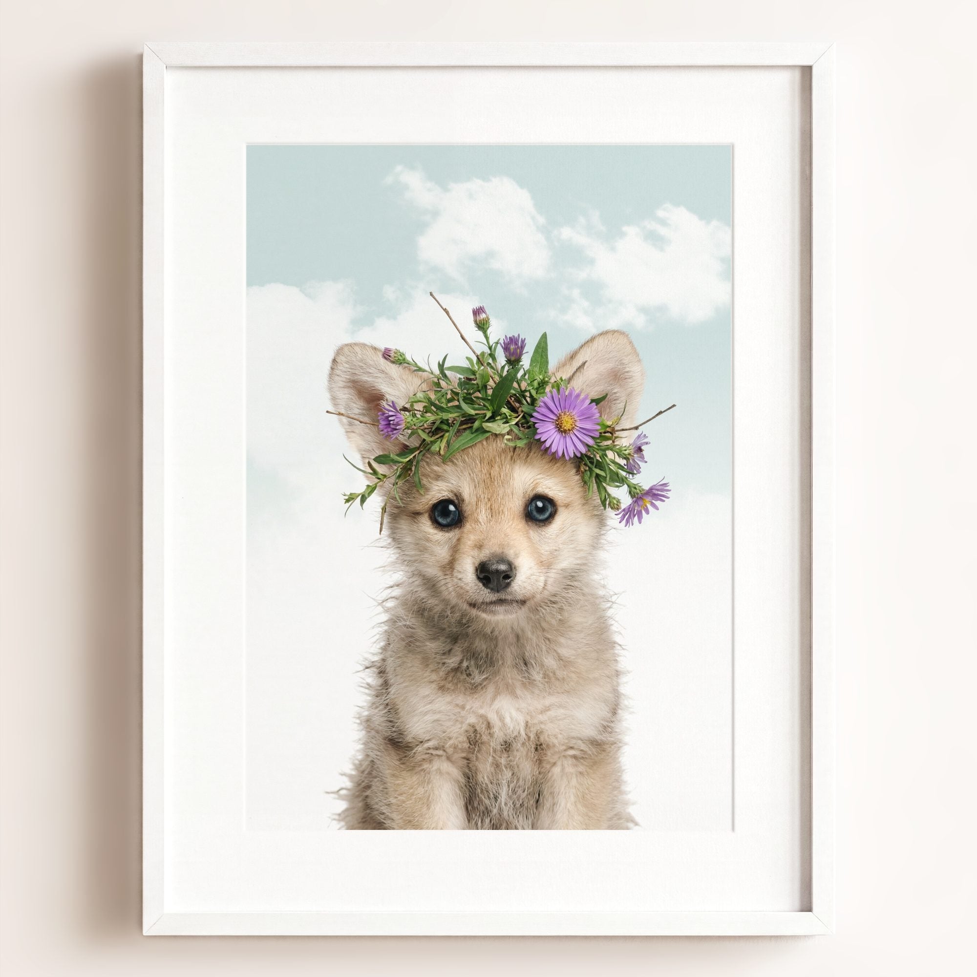 Baby Wolf