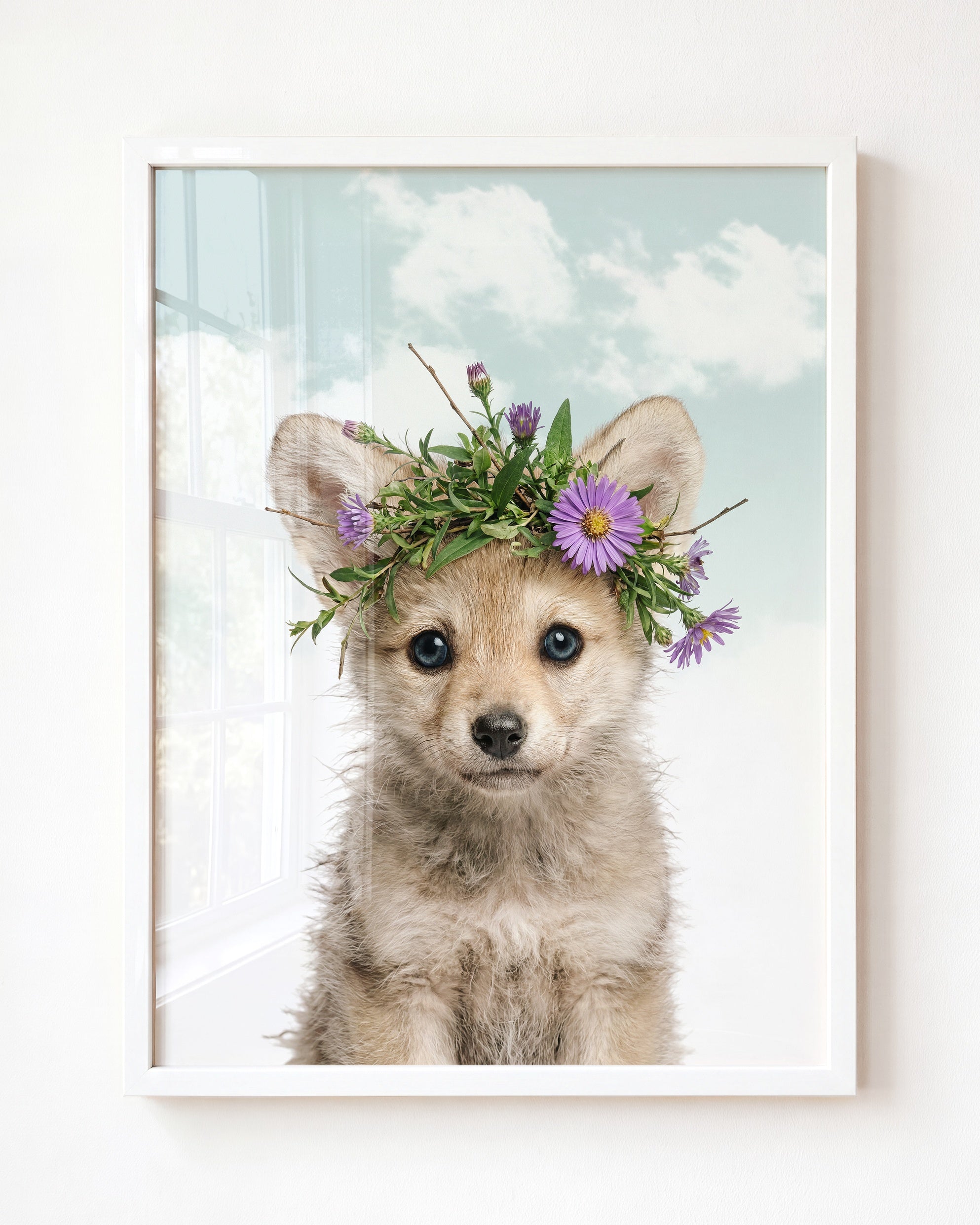 Baby Wolf