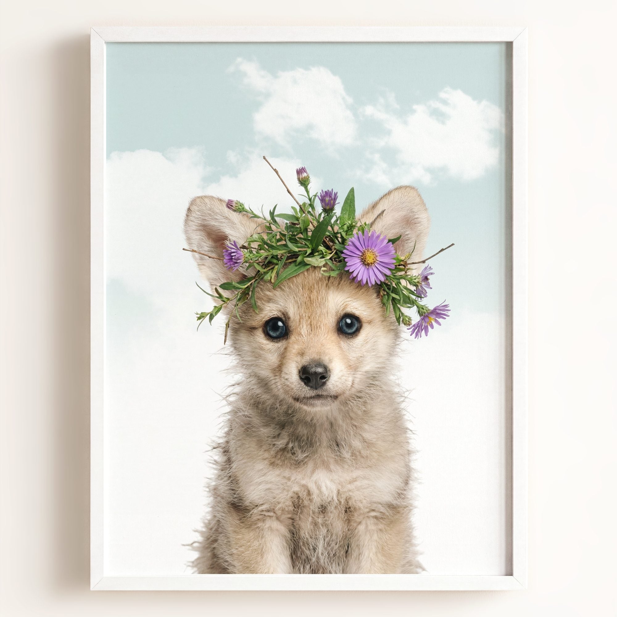 Baby Wolf