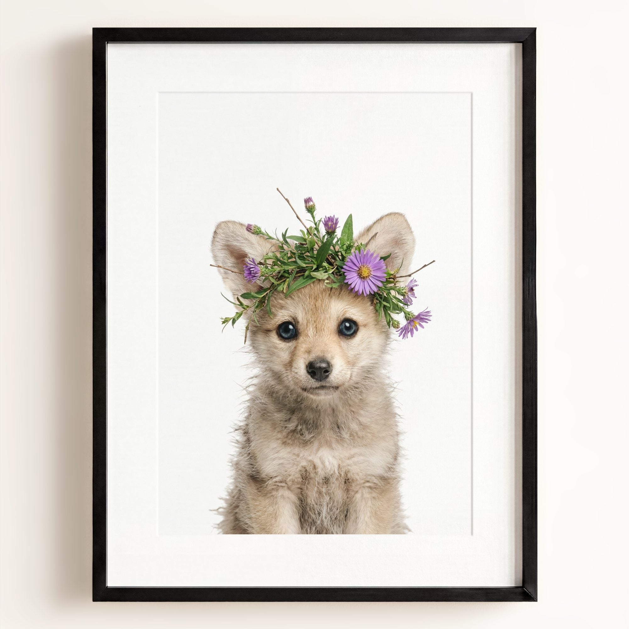Baby Wolf