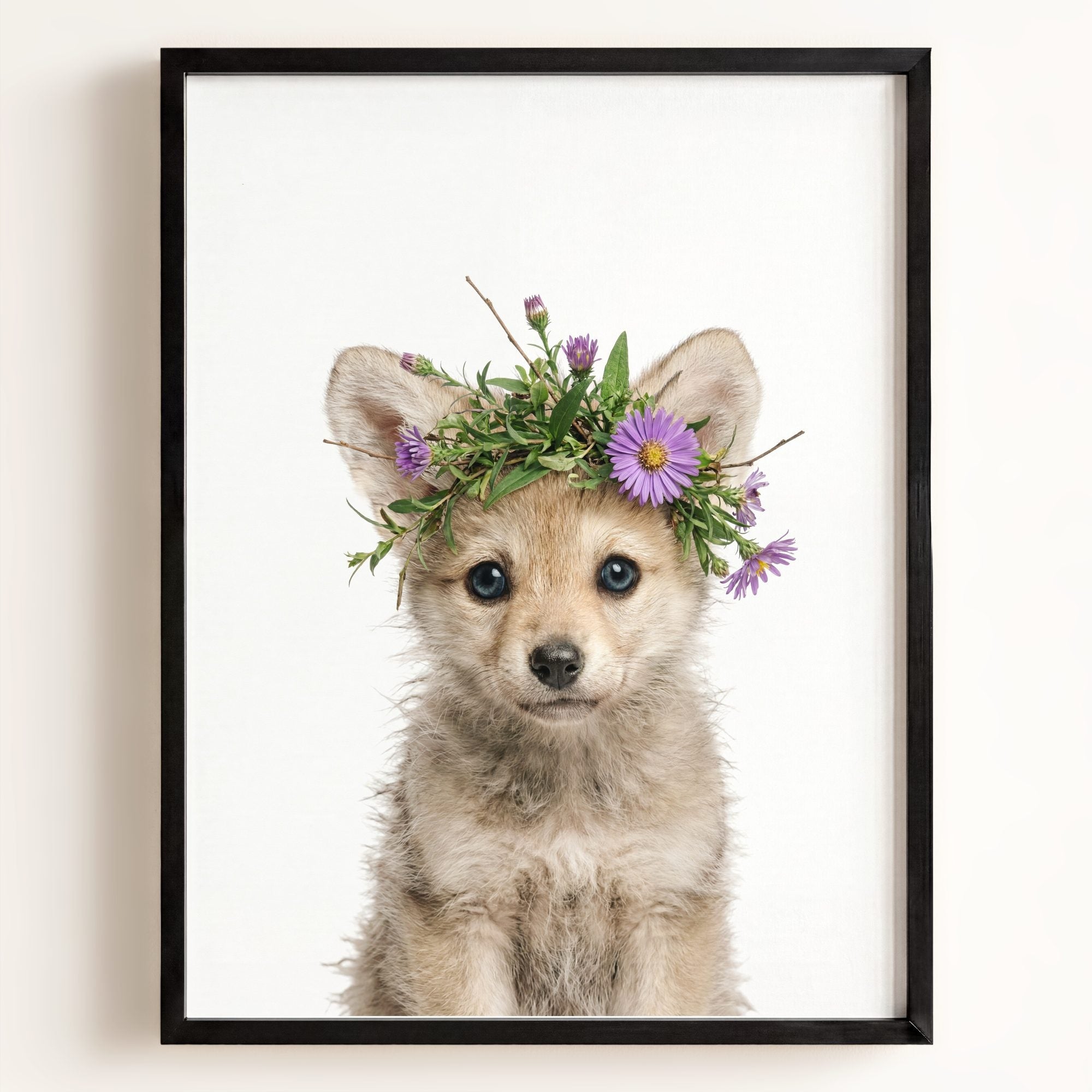 Baby Wolf