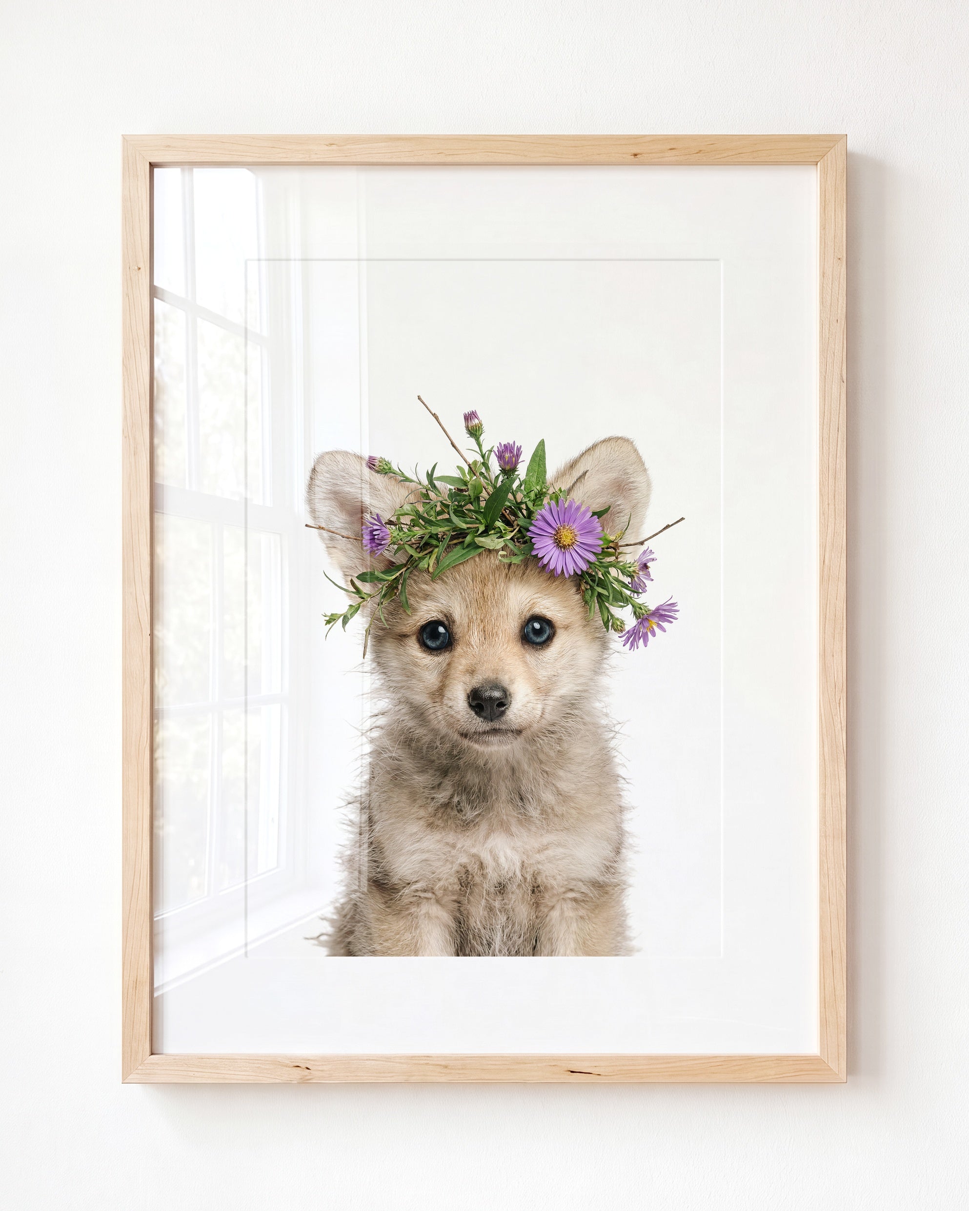 Baby Wolf