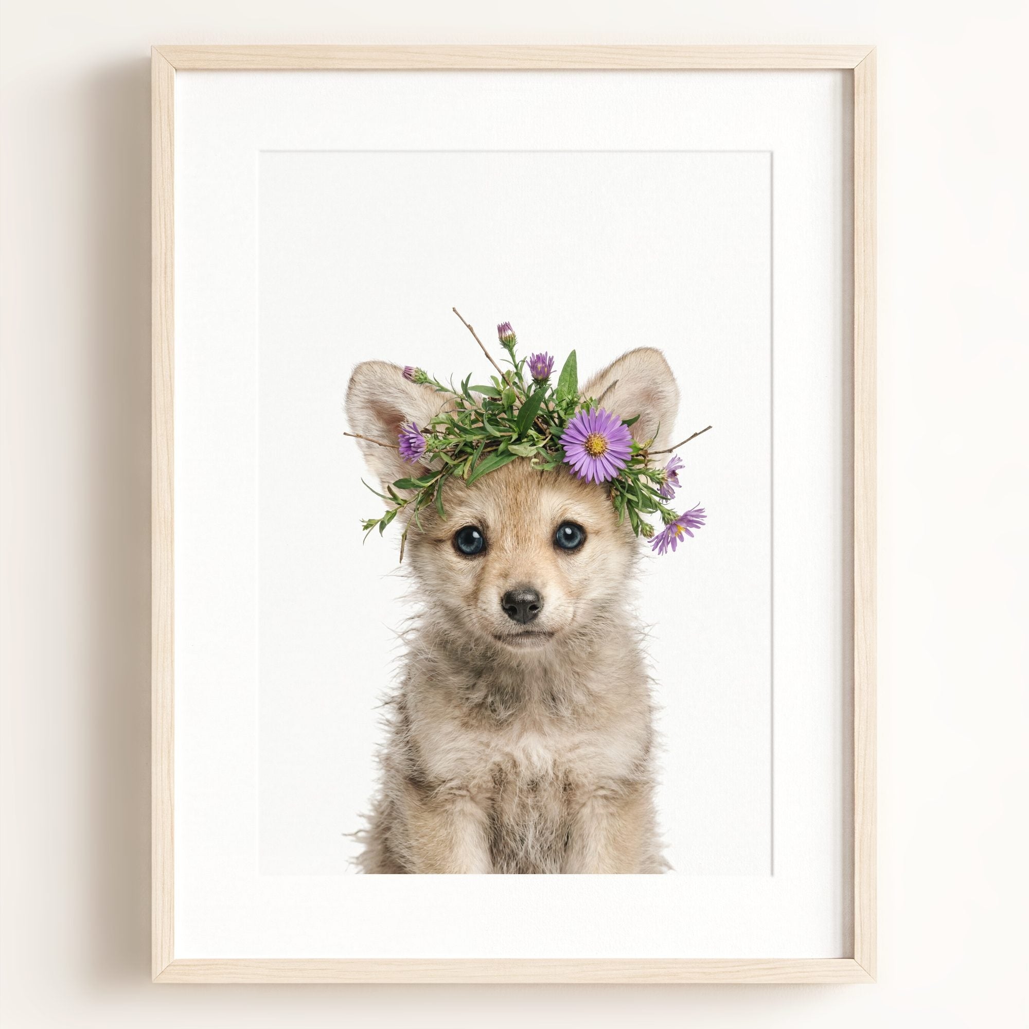 Baby Wolf