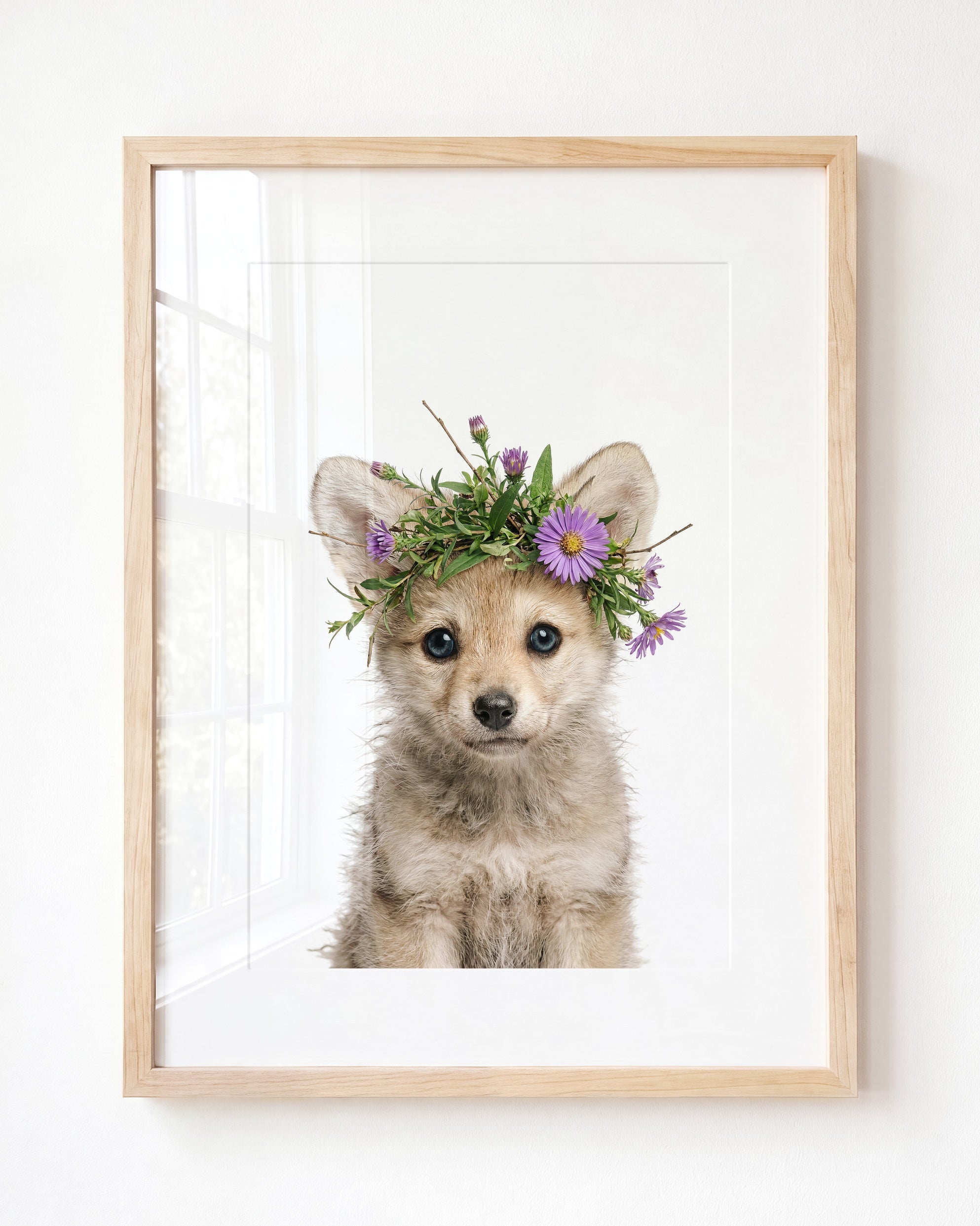 Baby Wolf