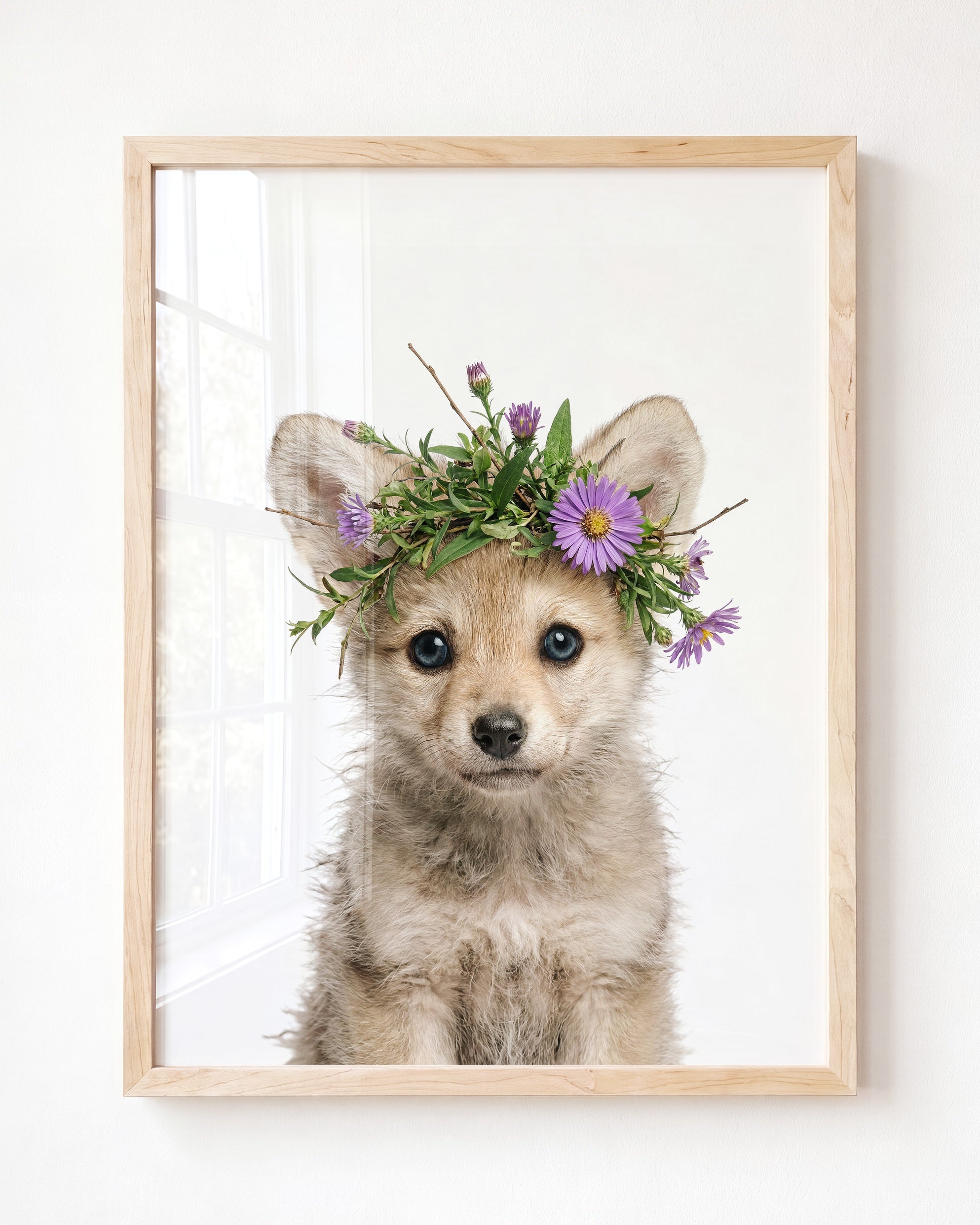 Baby Wolf