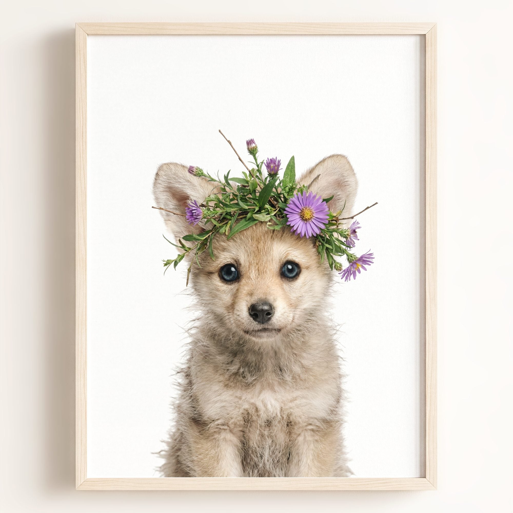 Baby Wolf