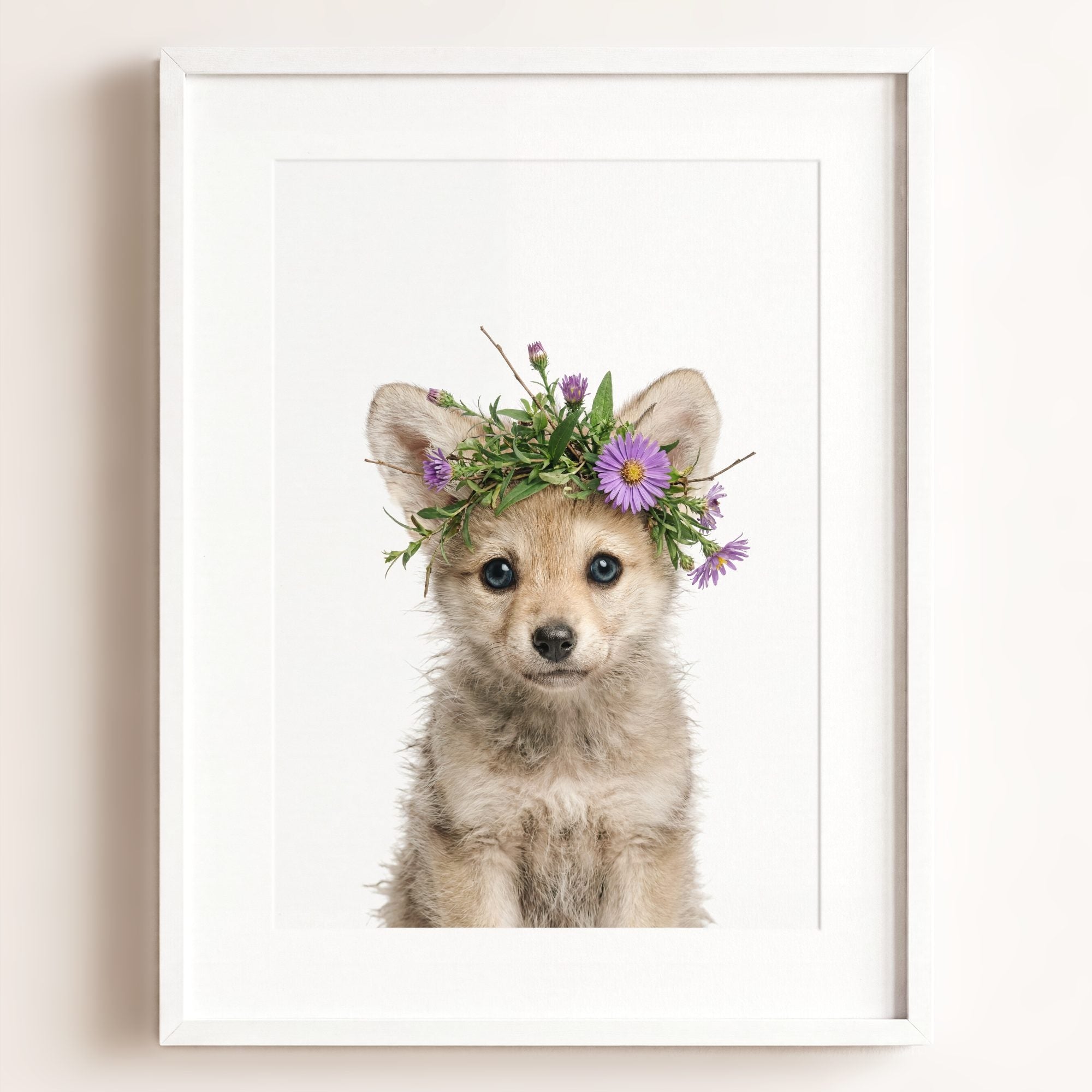 Baby Wolf