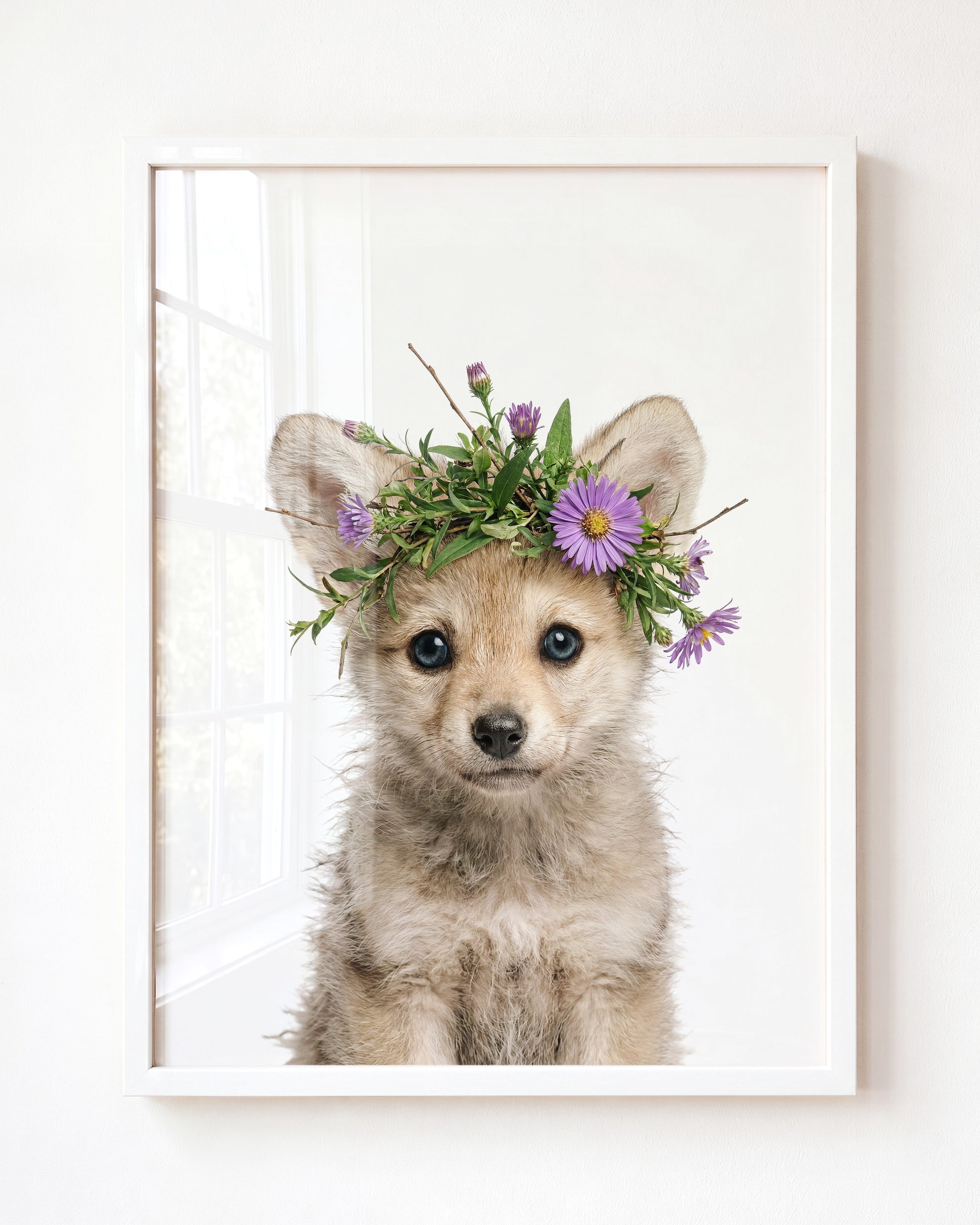 Baby Wolf