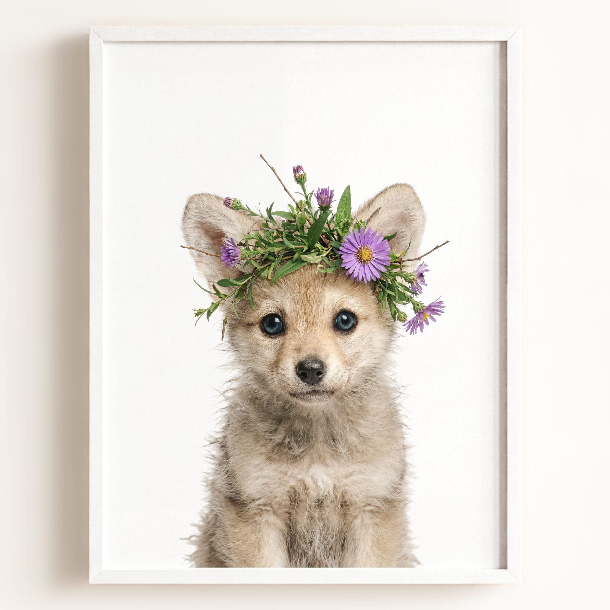 Baby Wolf