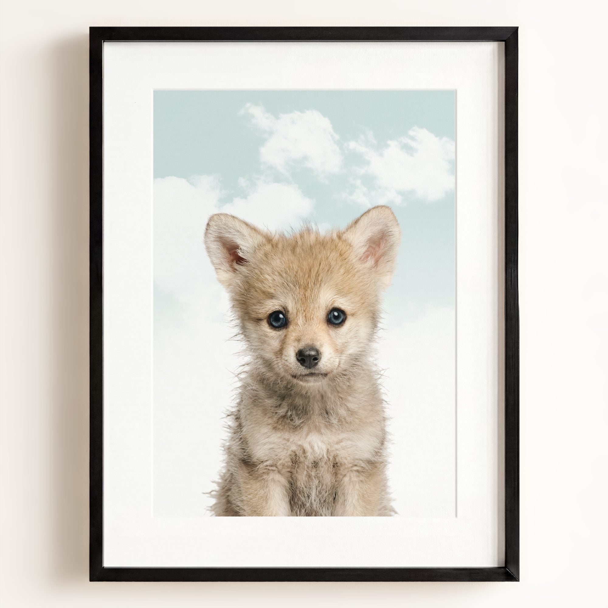 Baby Wolf