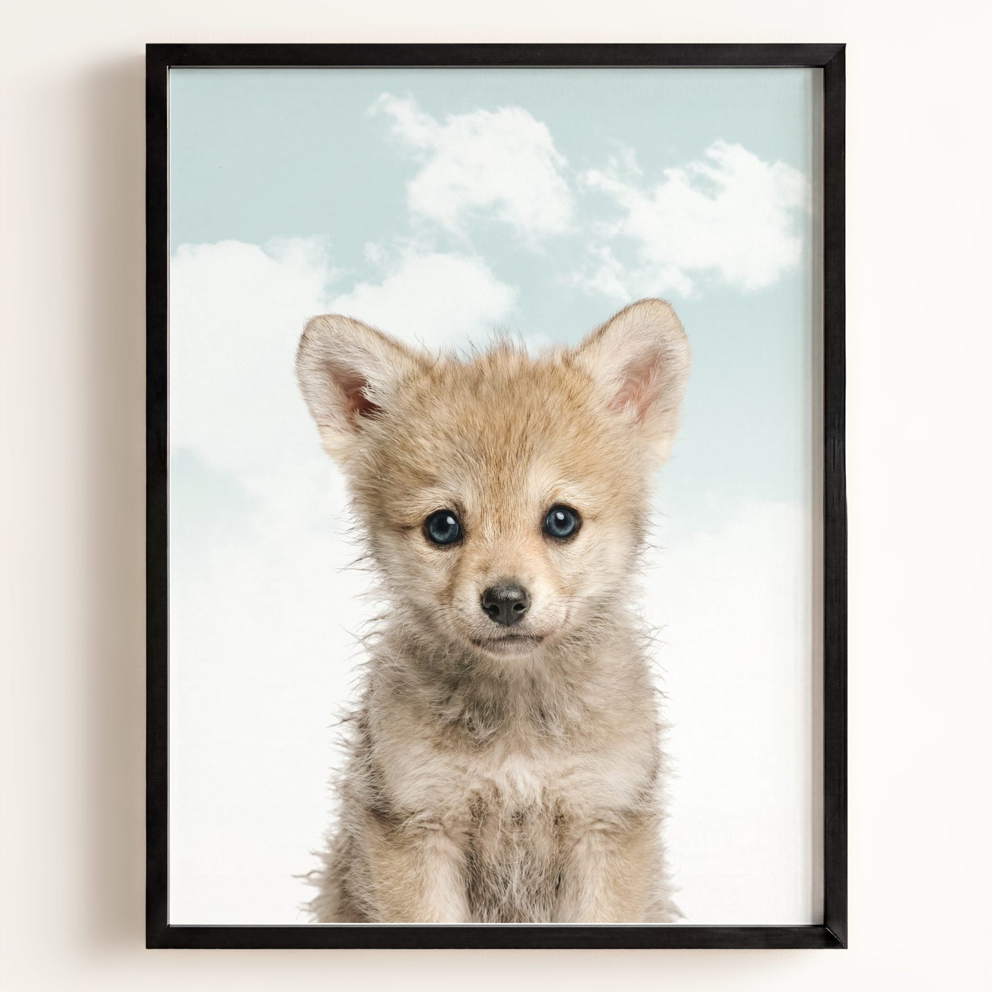 Baby Wolf