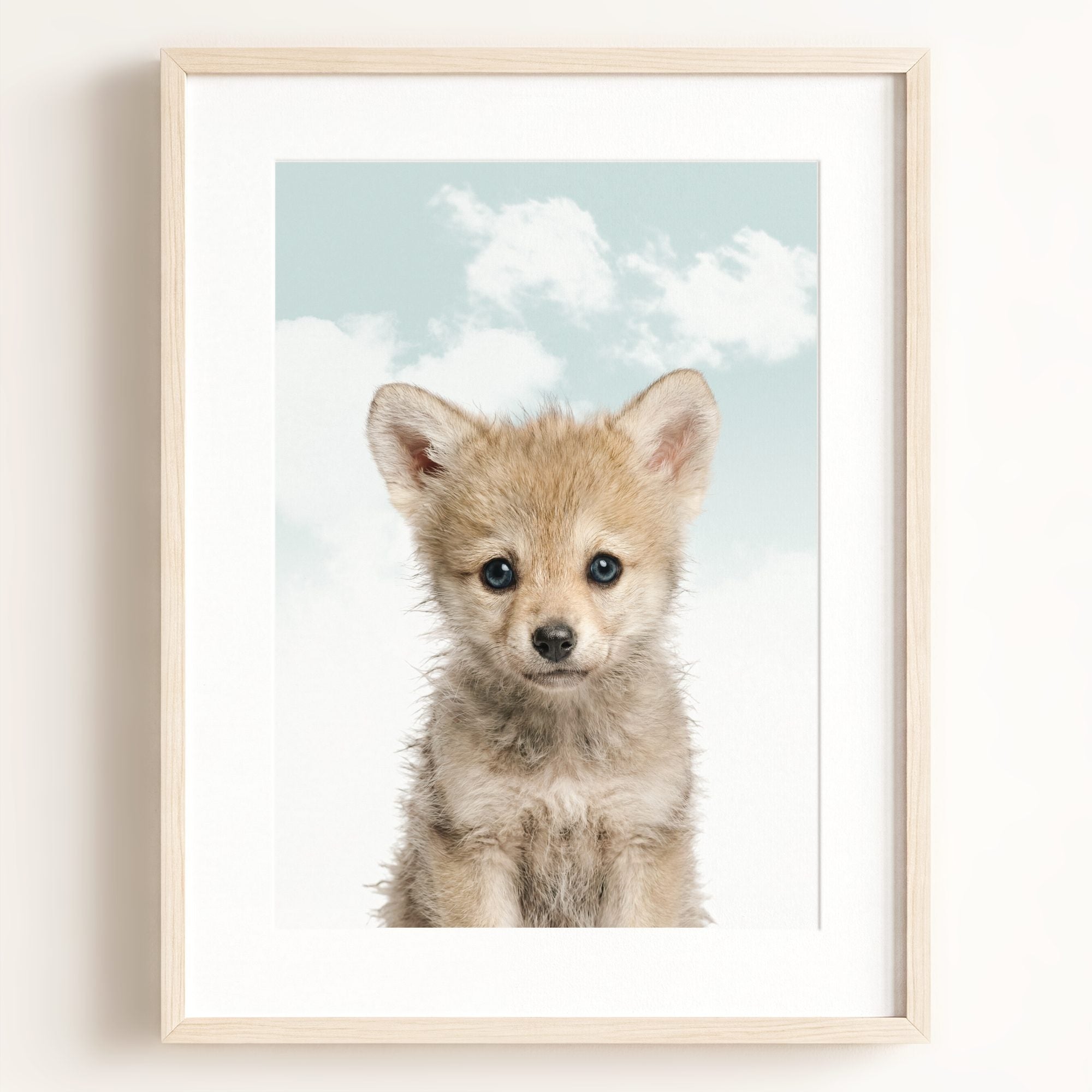 Baby Wolf