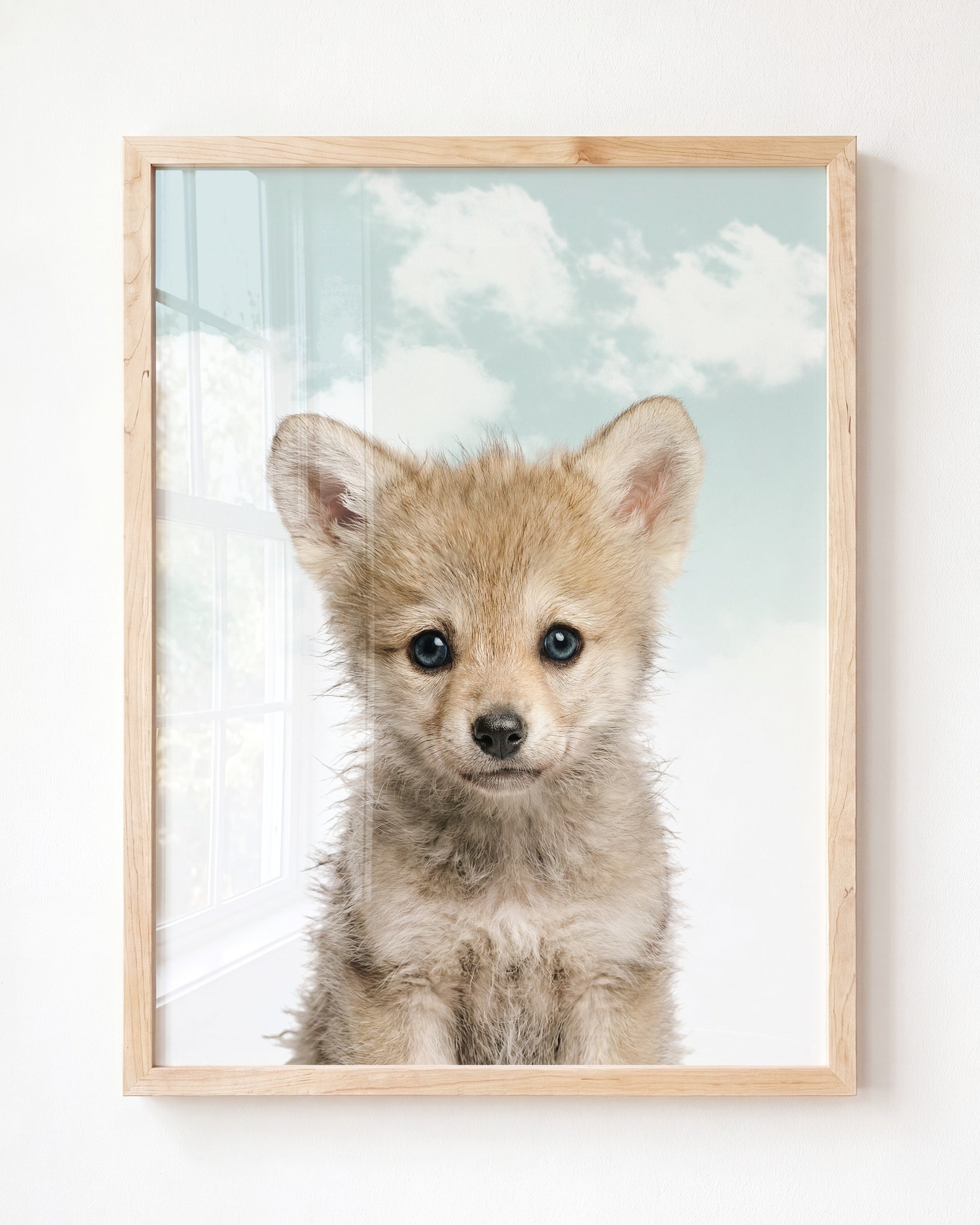 Baby Wolf