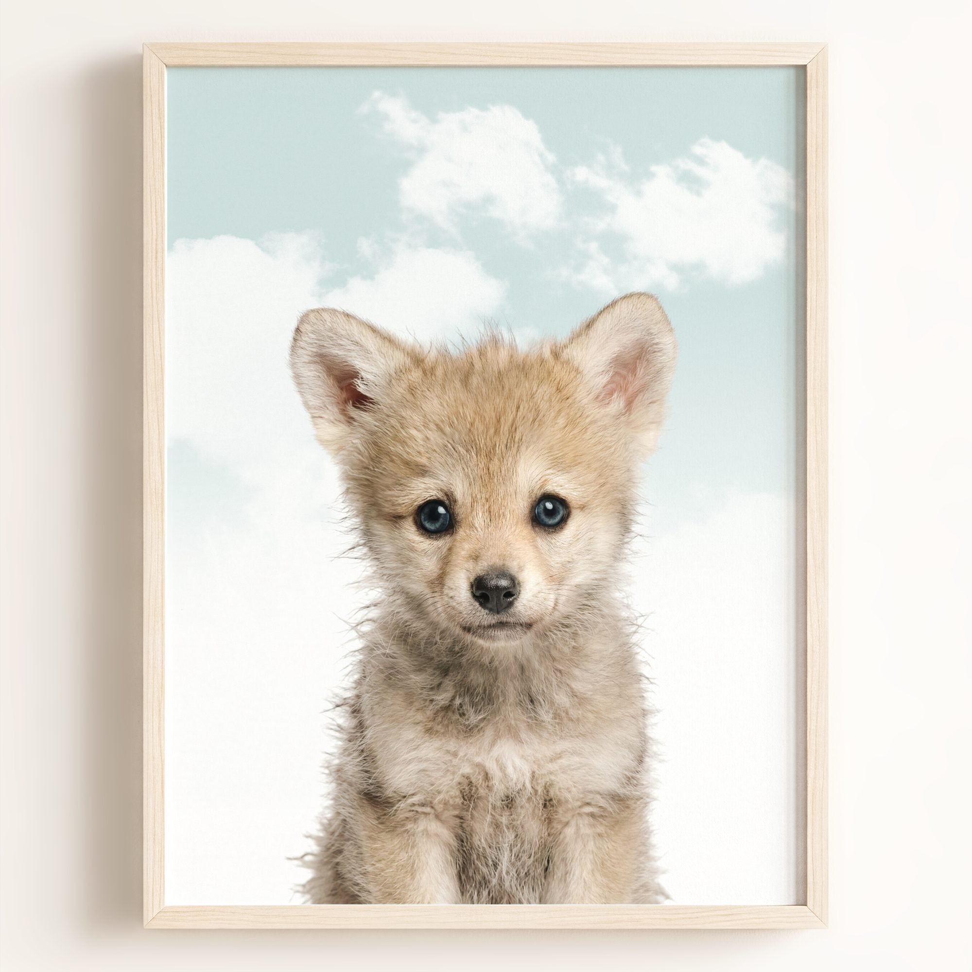 Baby Wolf