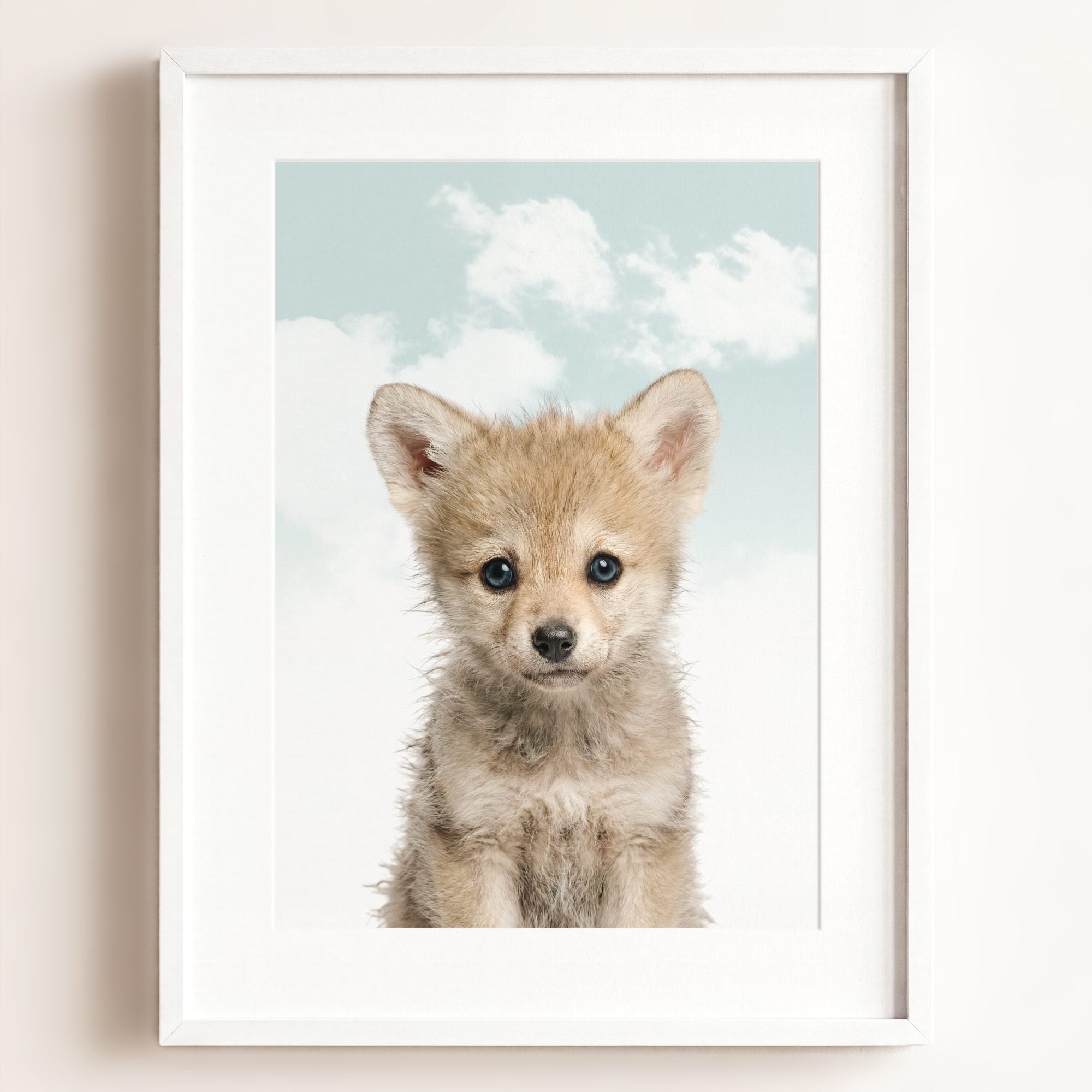 Baby Wolf