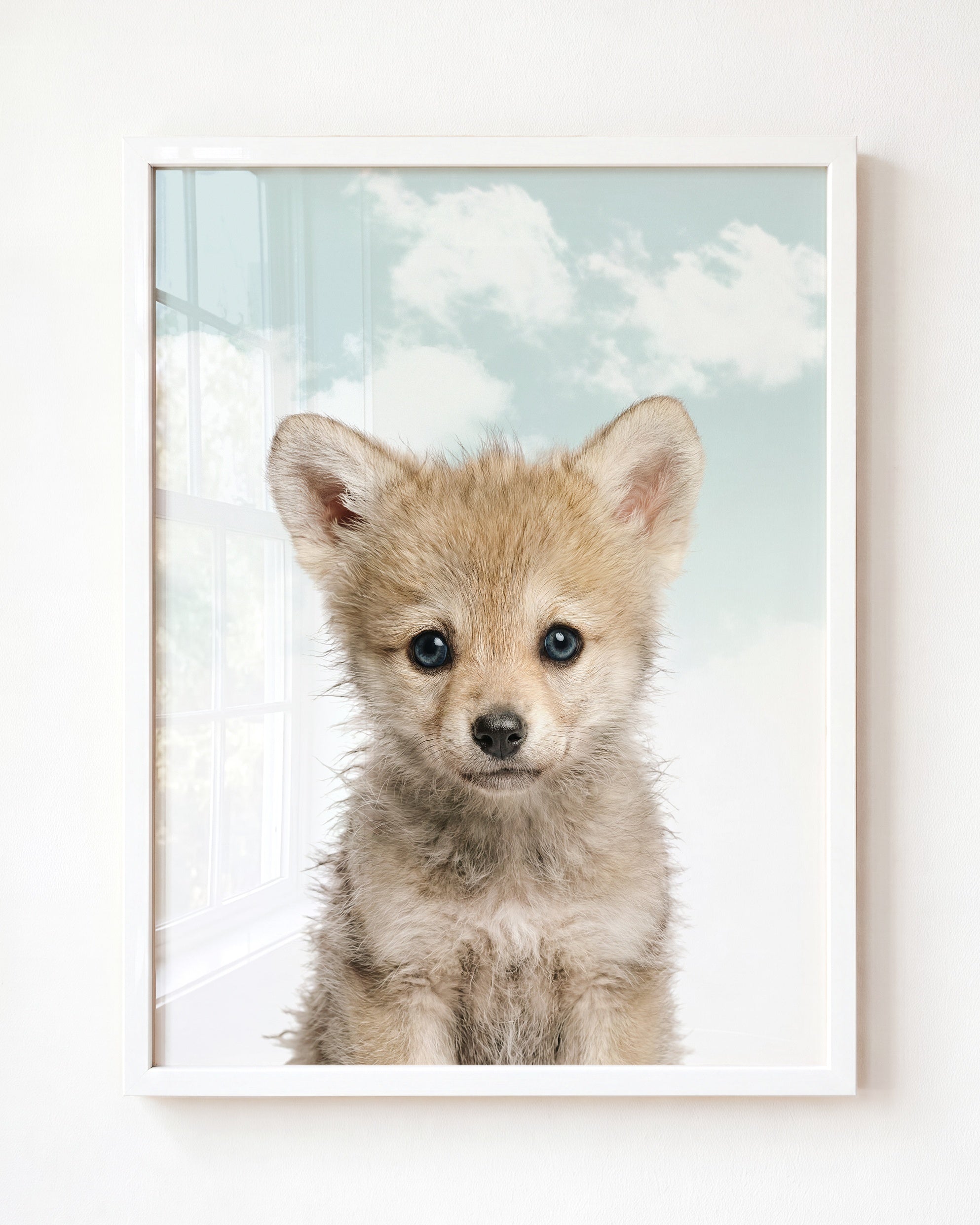 Baby Wolf