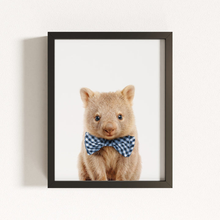 Baby Wombat