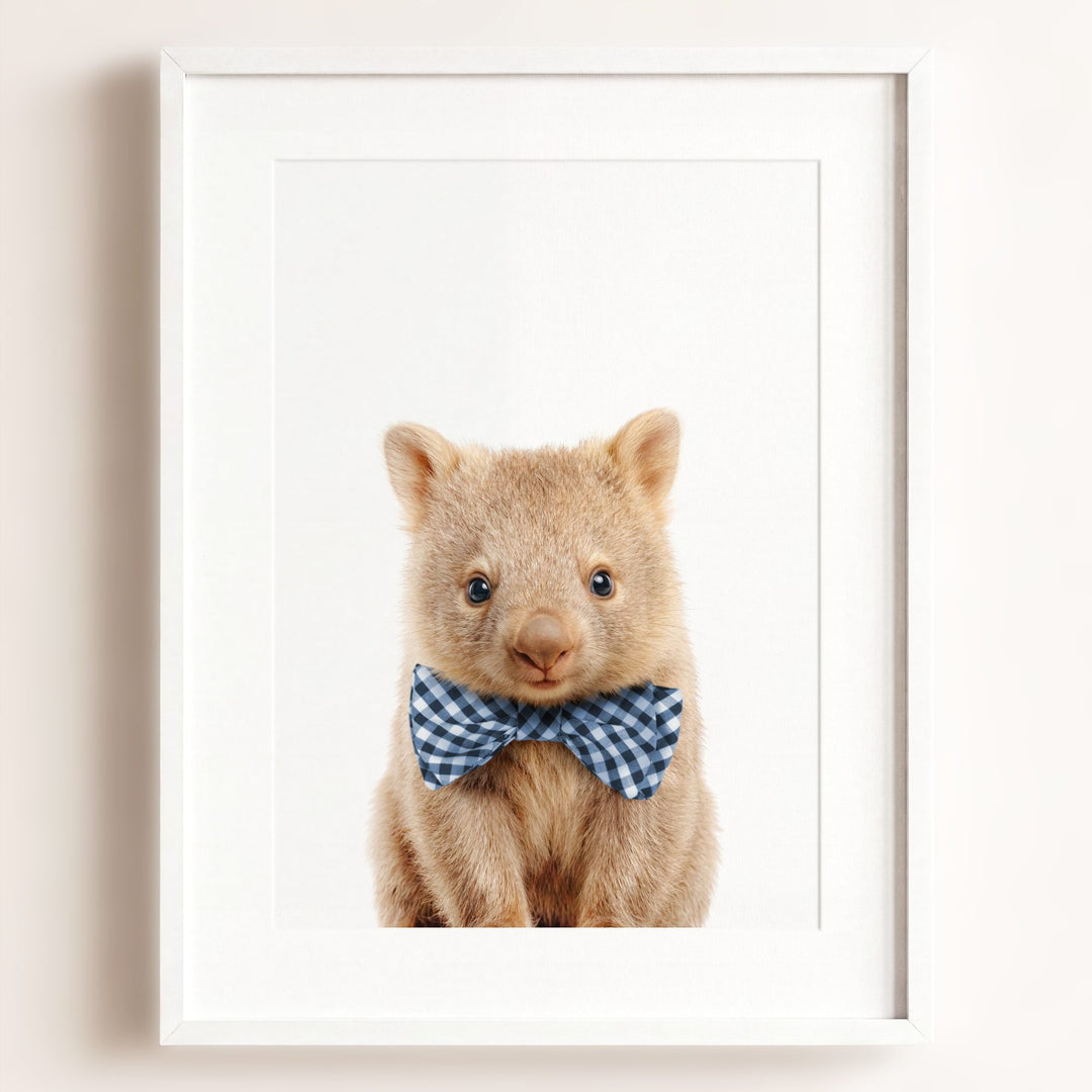 Baby Wombat