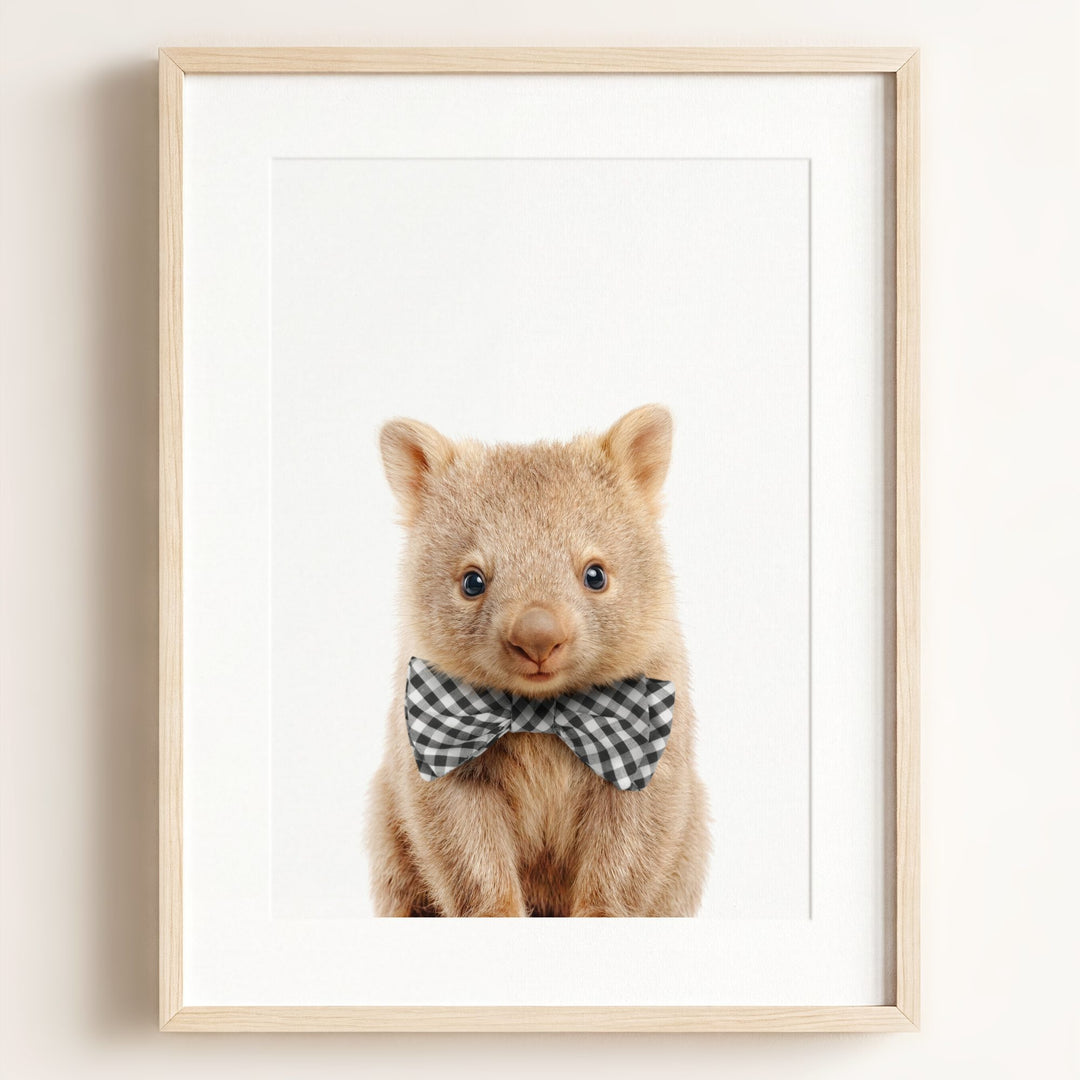 Baby Wombat