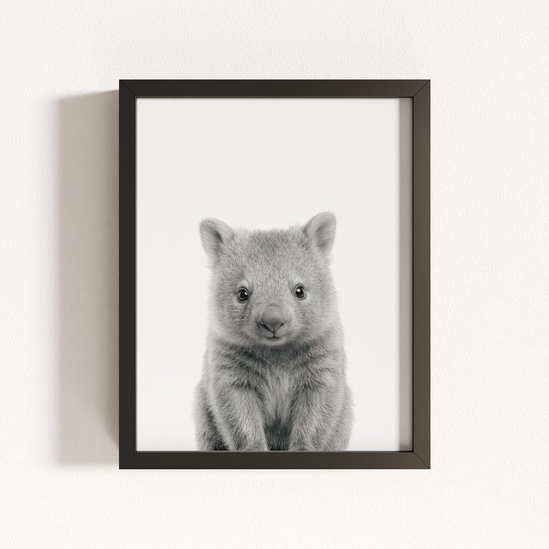 Baby Wombat