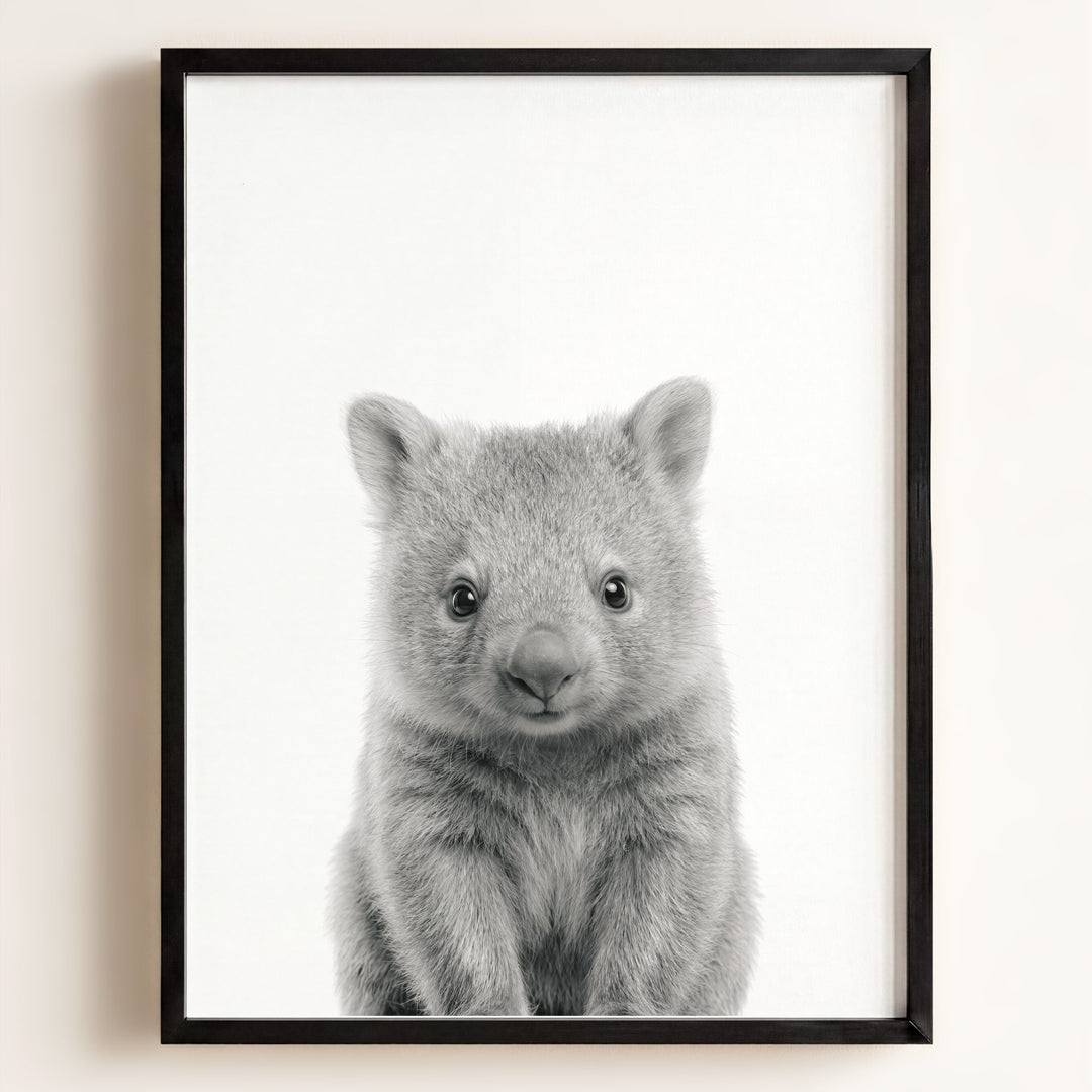 Baby Wombat