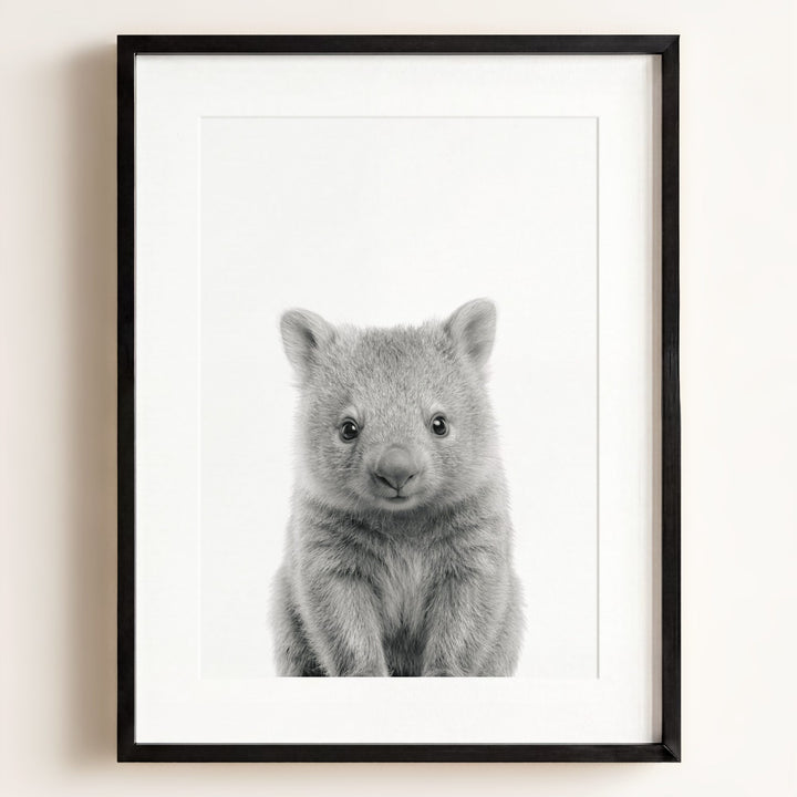 Baby Wombat