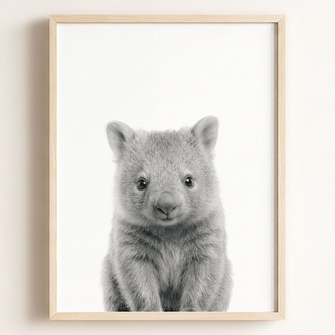 Baby Wombat