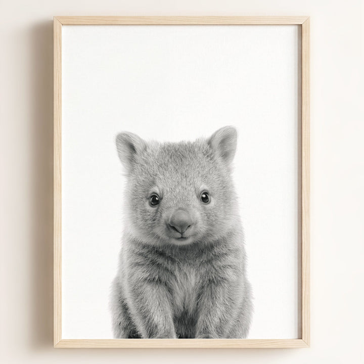 Baby Wombat