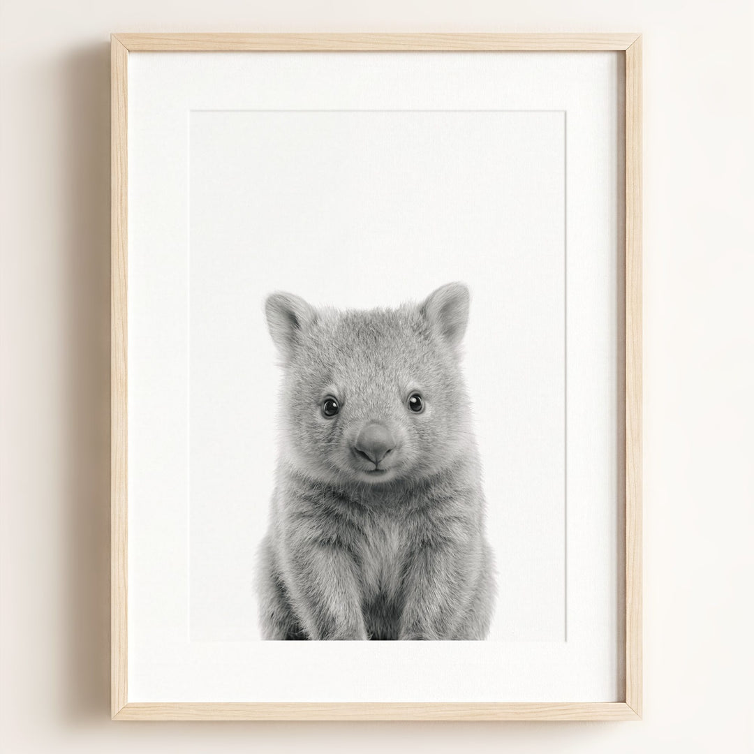 Baby Wombat