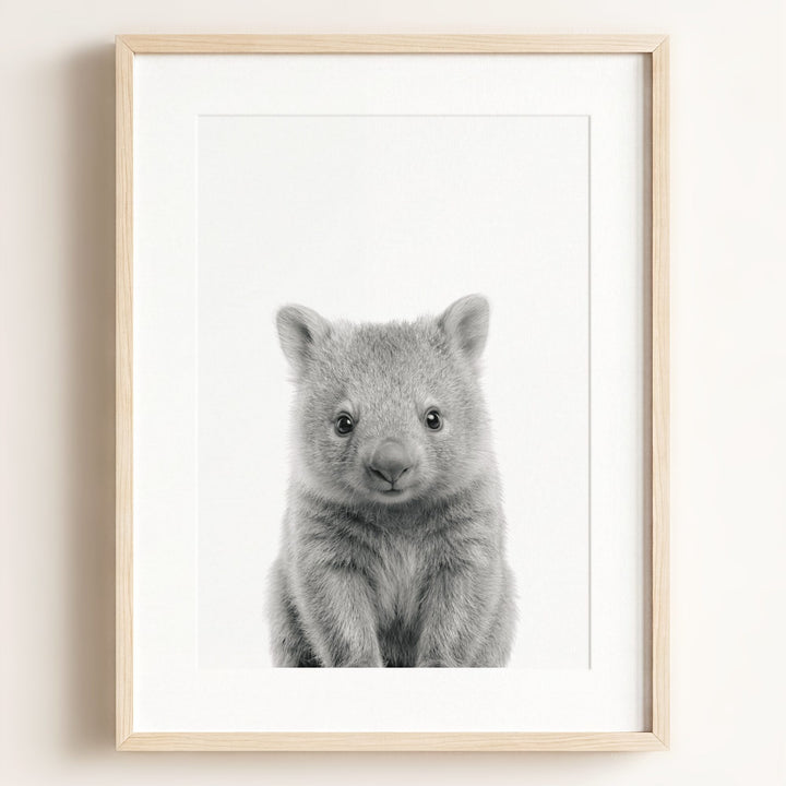 Baby Wombat