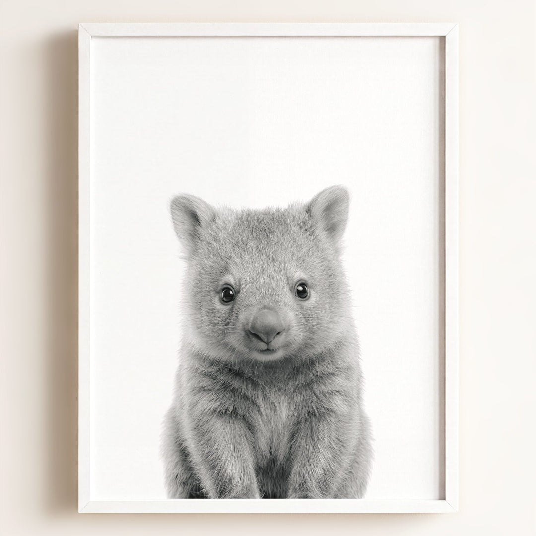 Baby Wombat