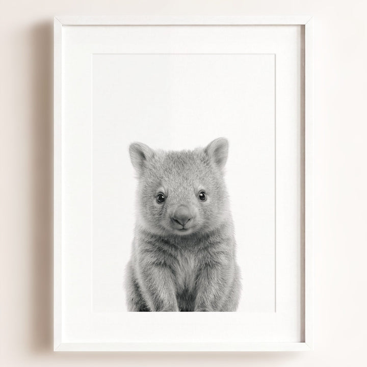 Baby Wombat