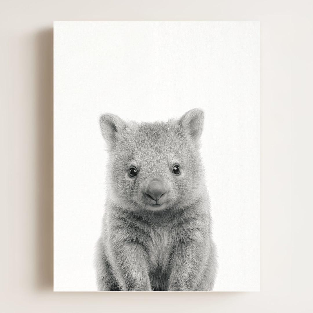 Baby Wombat