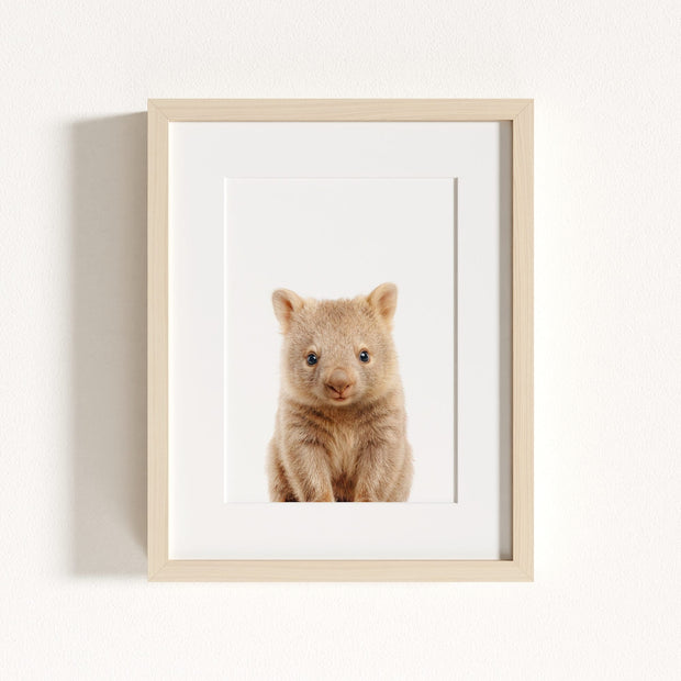Baby Wombat