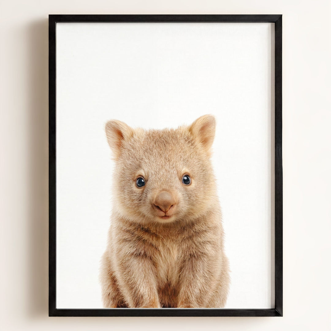 Baby Wombat