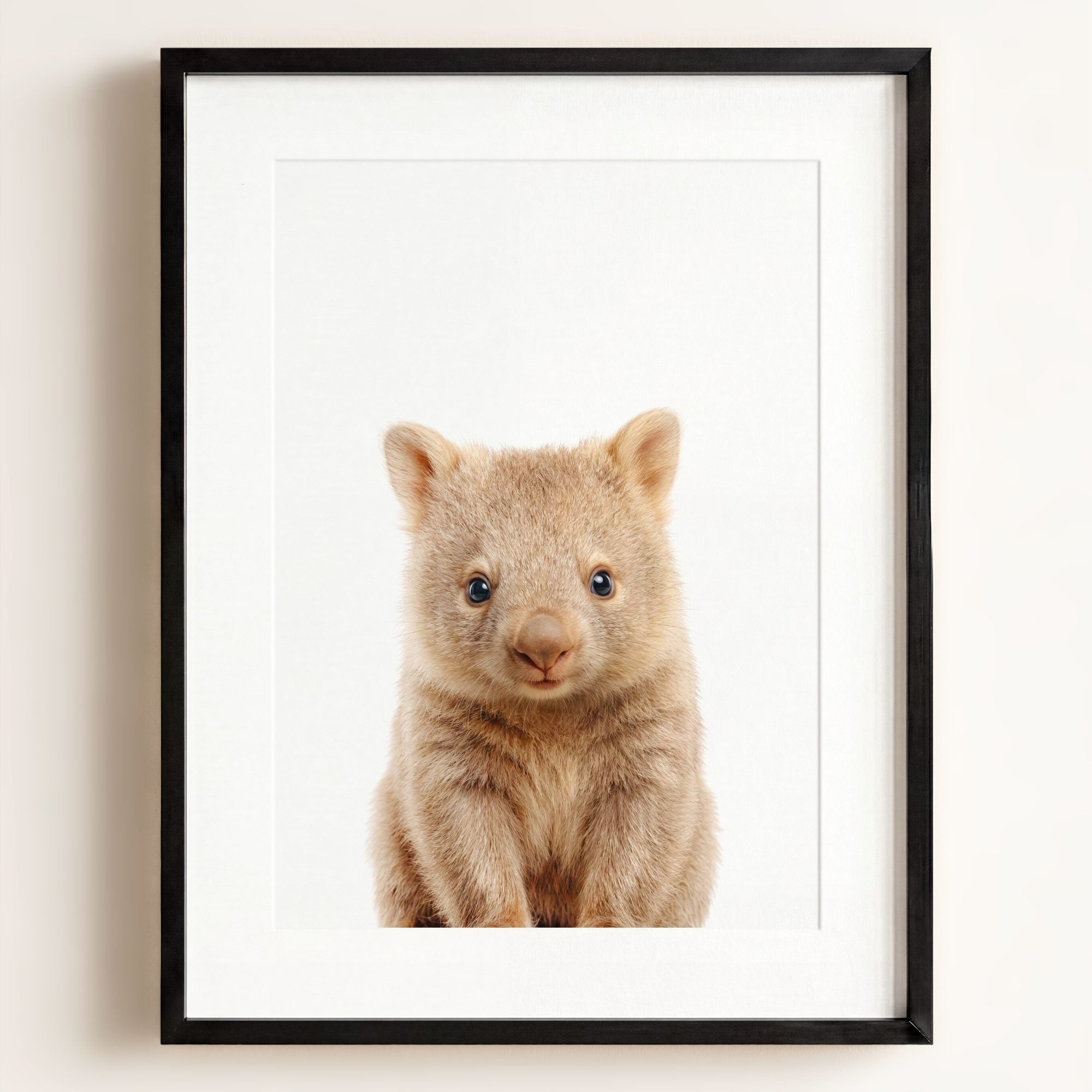 Baby Wombat
