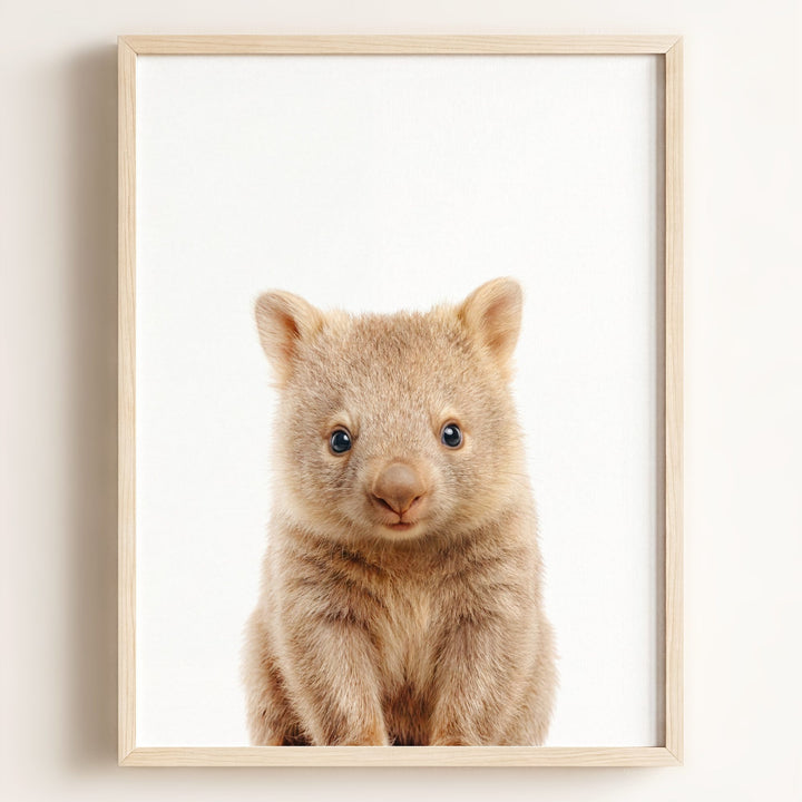 Baby Wombat