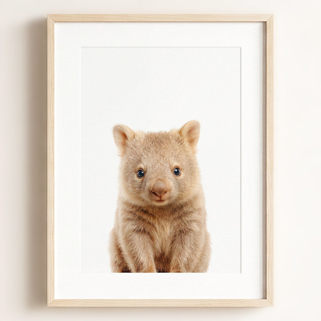 Baby Wombat
