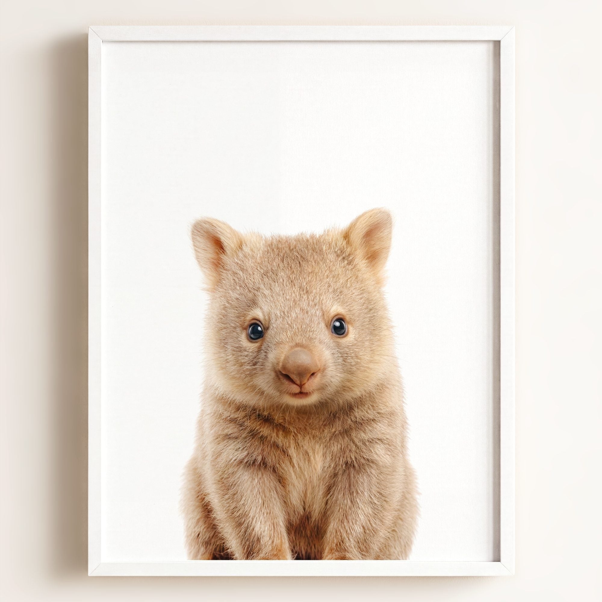 Baby Wombat