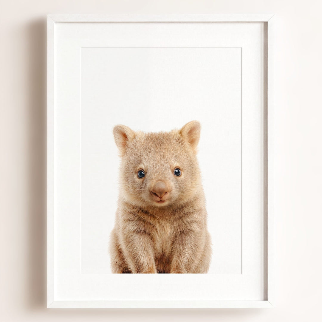 Baby Wombat